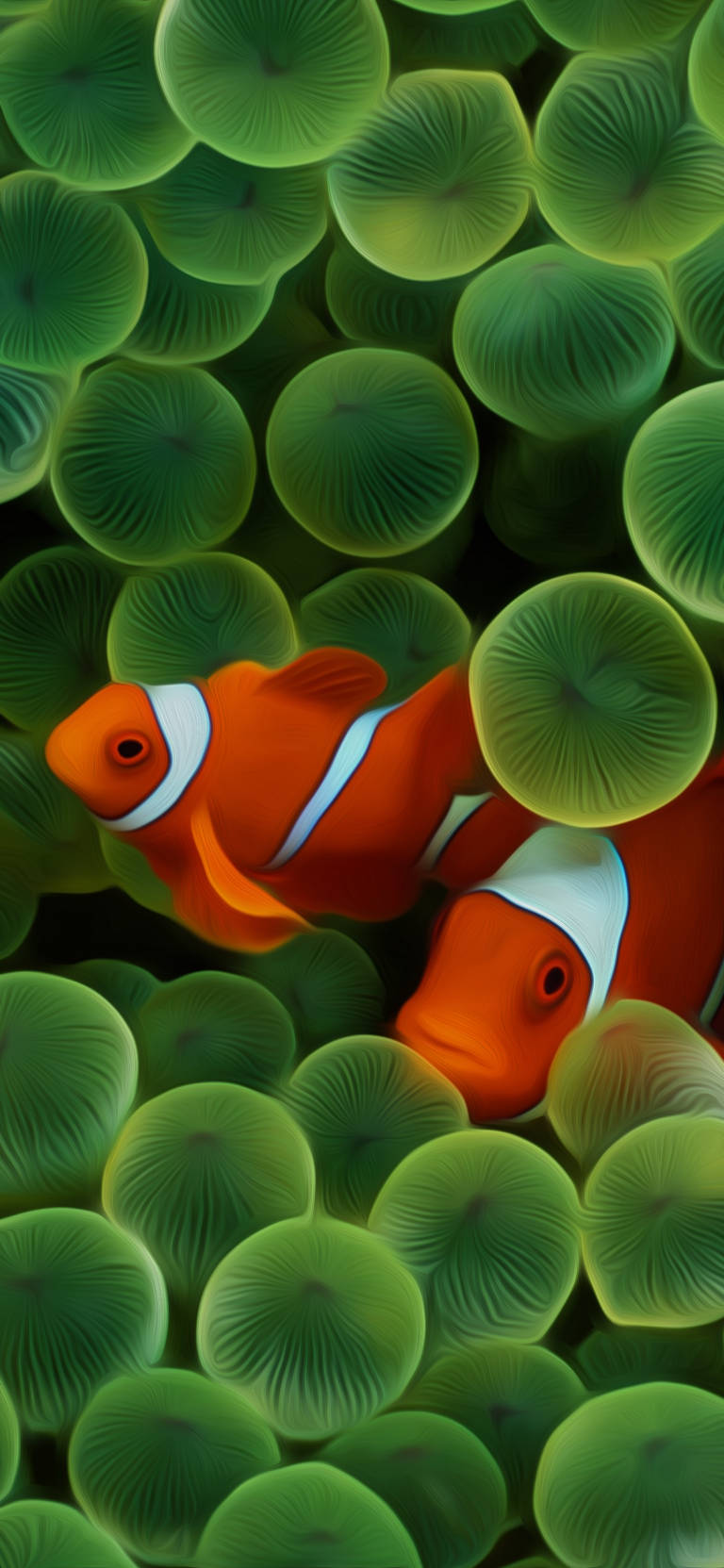 Clownfish Original iPhone 4 Wallpaper