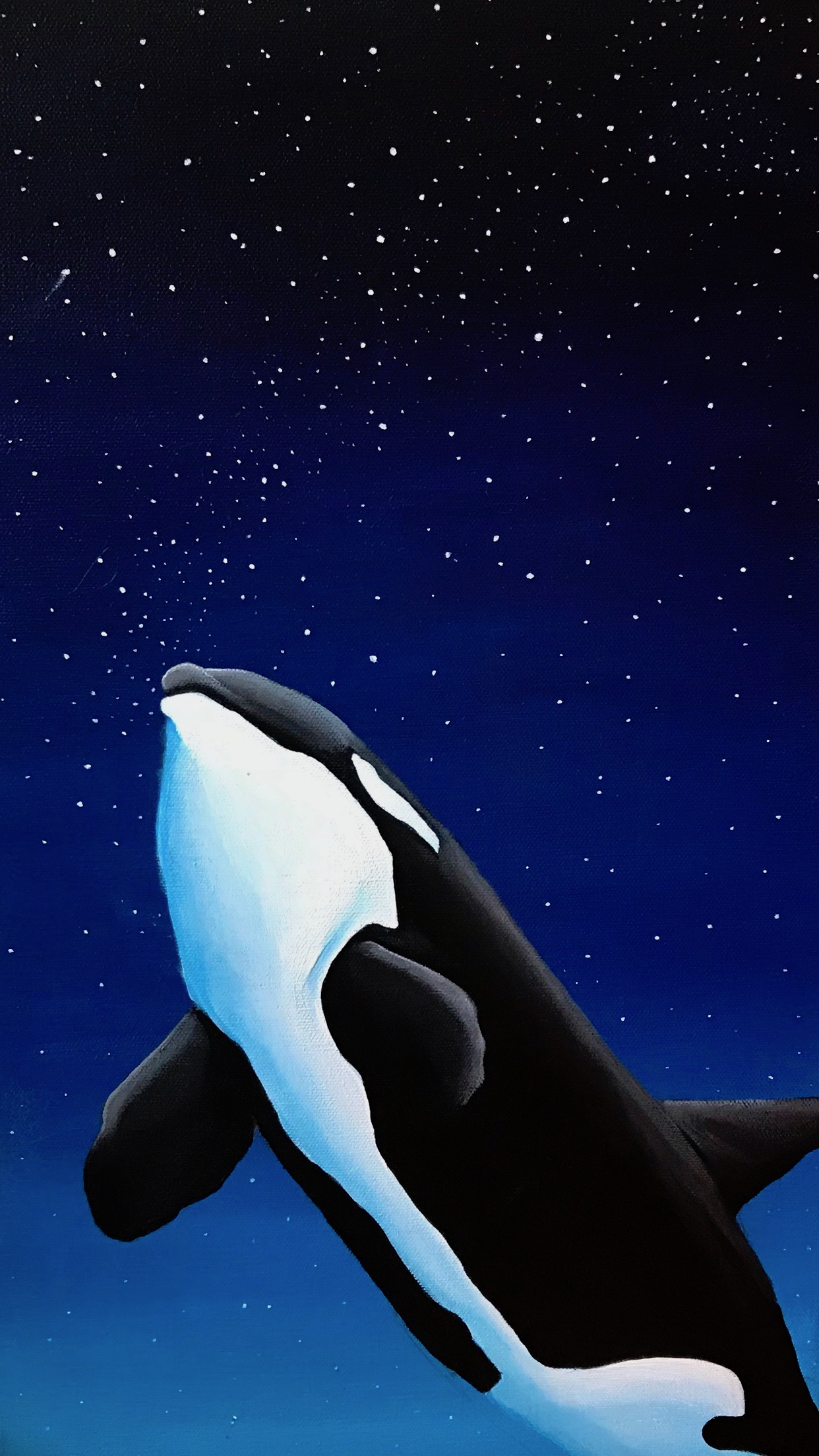 Orca at night