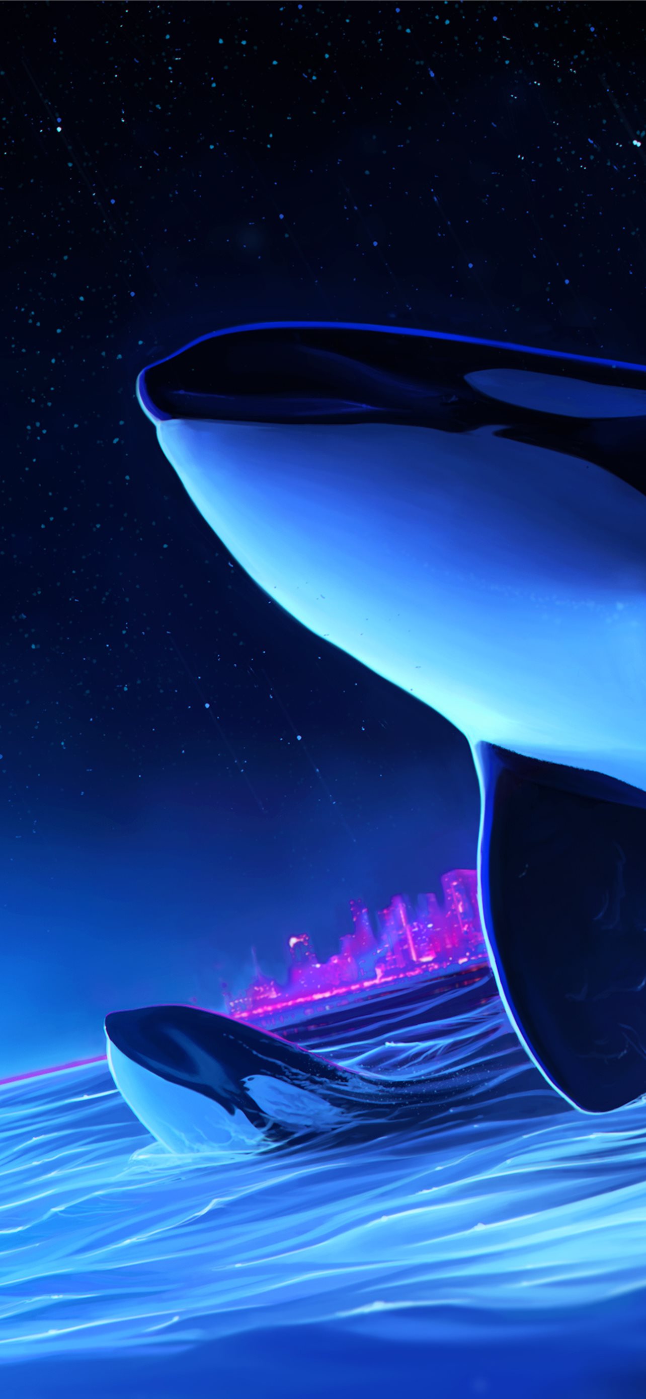 Dolphin Night Orca Whale Digital Art