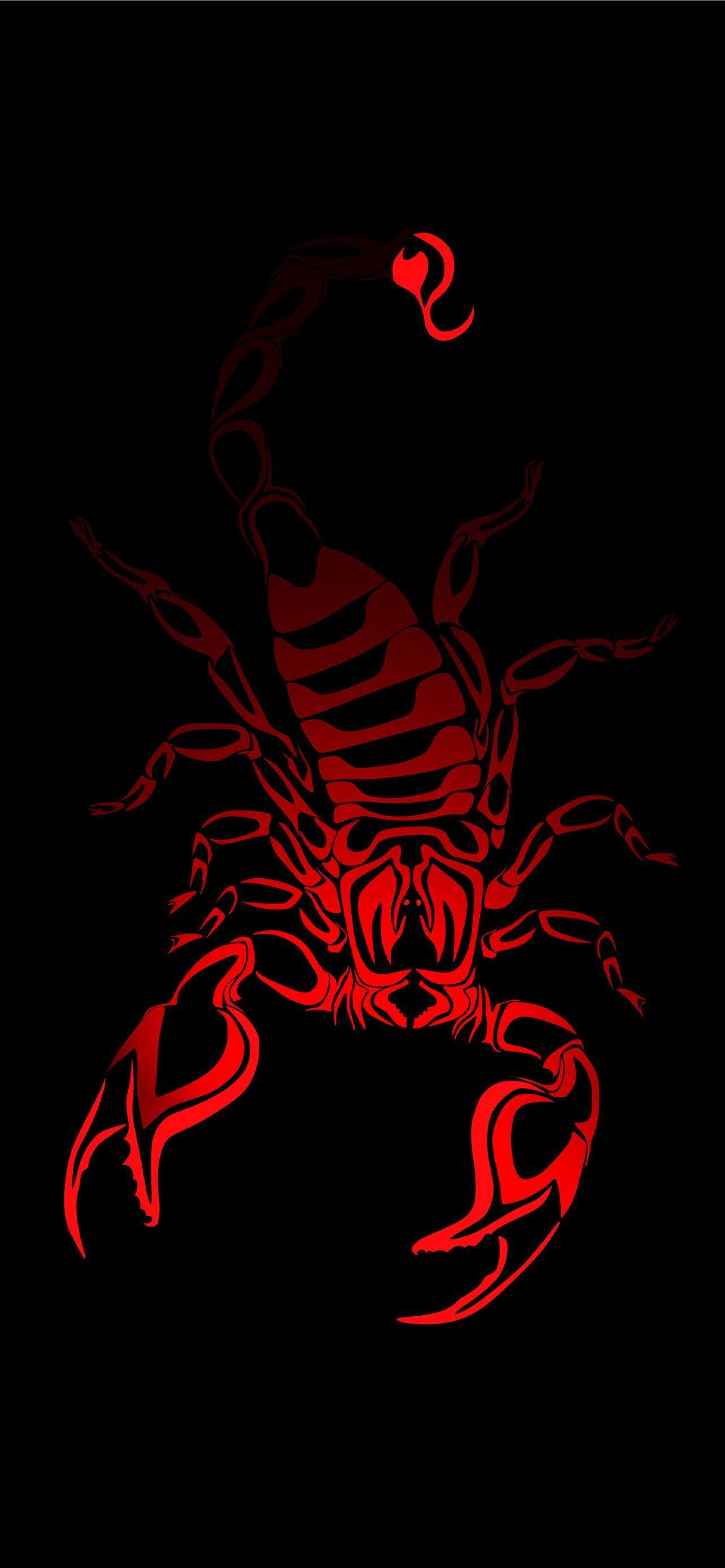 scorpion arachnids iPhone Wallpaper