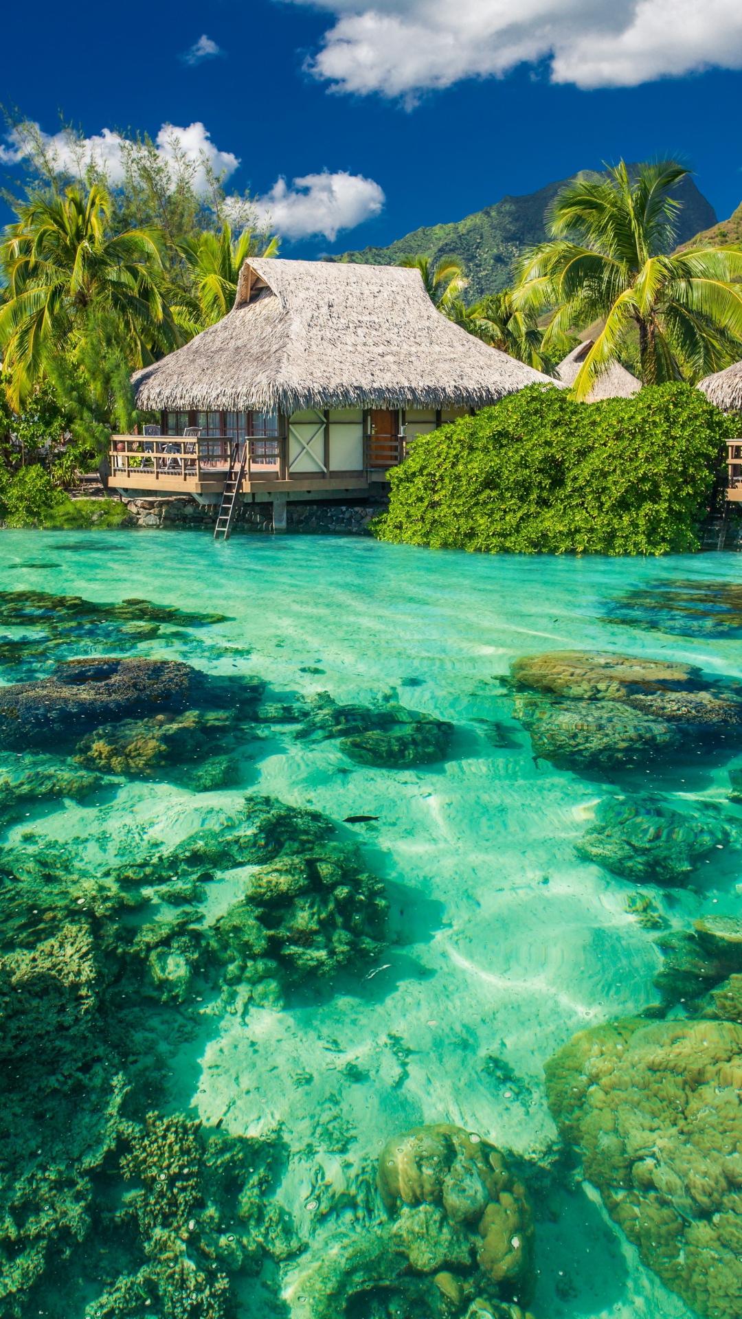 Beach Wallpaper for iPhone 11, Pro Max