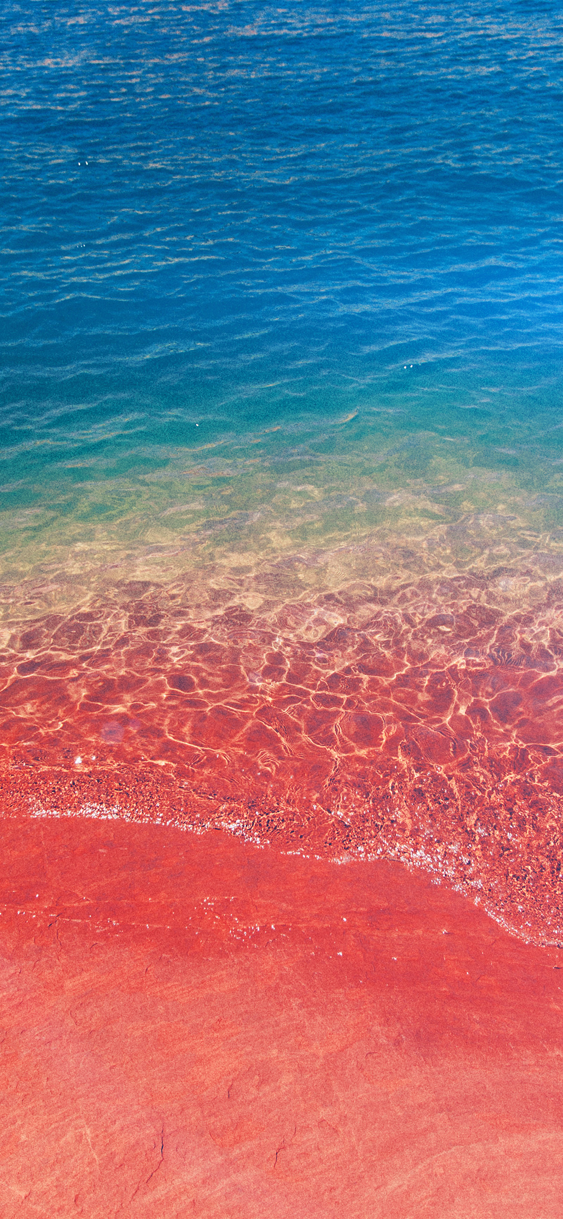 Sea Water Beach Summer Nature Pink