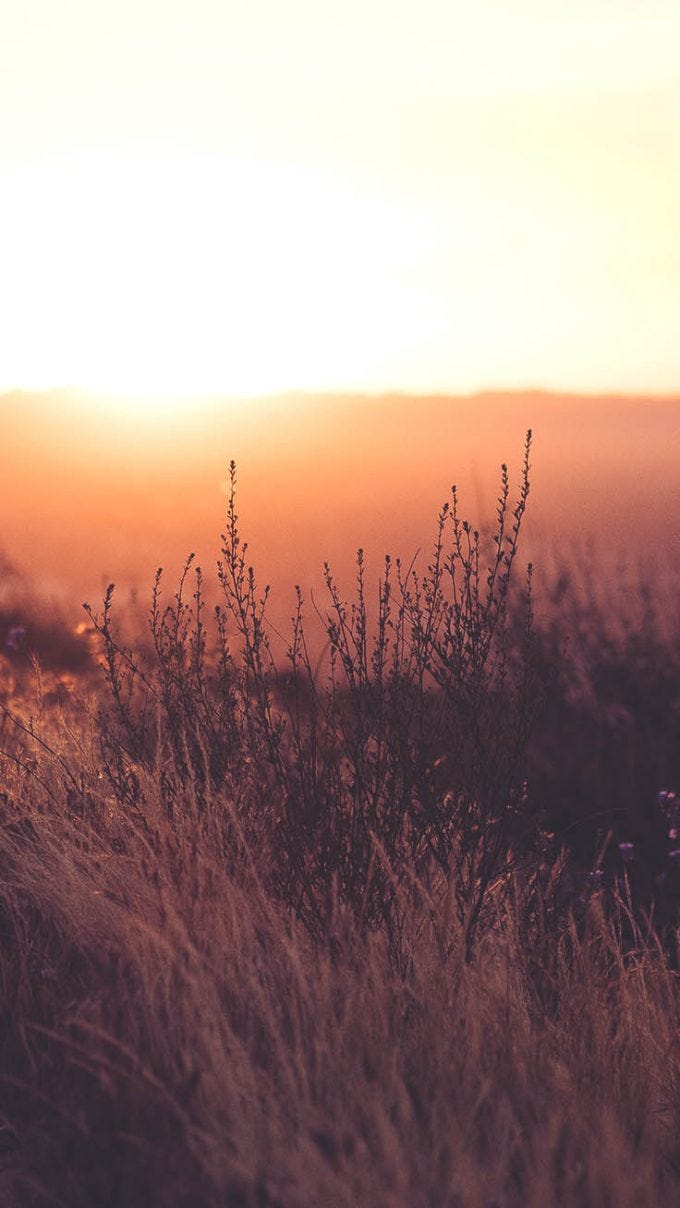 Relaxing Nature Mobile Wallpaper