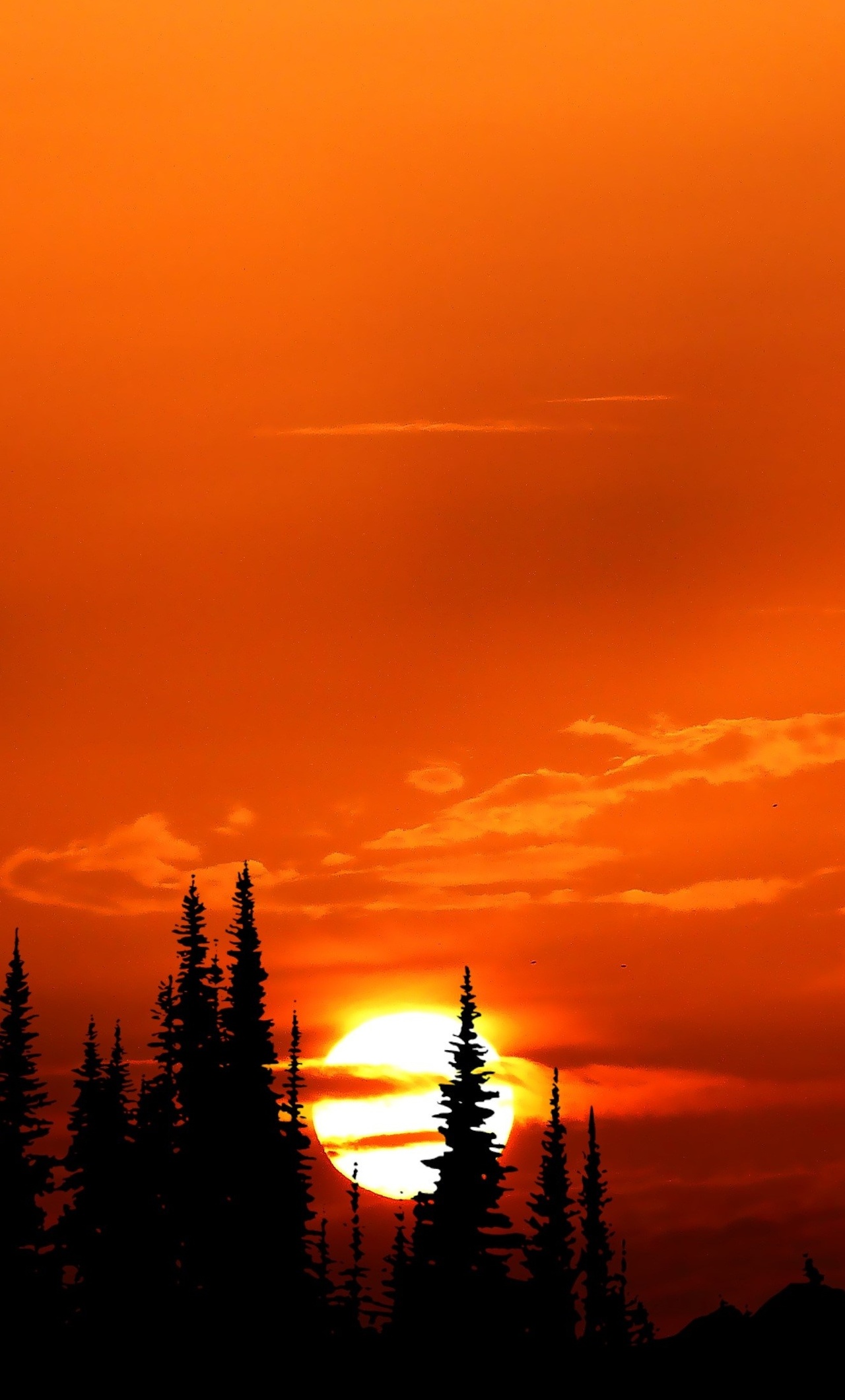 Relaxing Orange Sunset