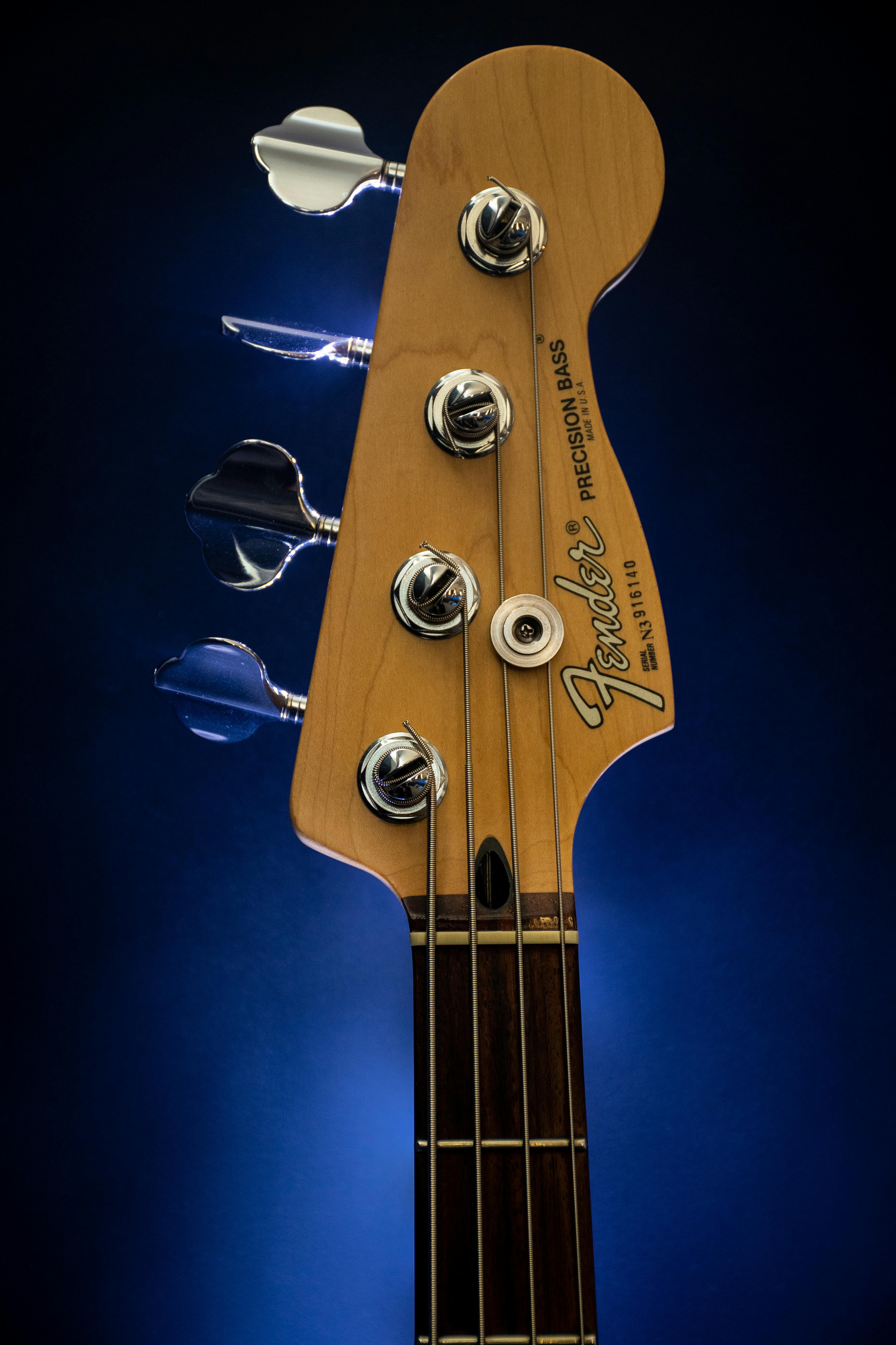 Bass Guitar Photo, Download The BEST