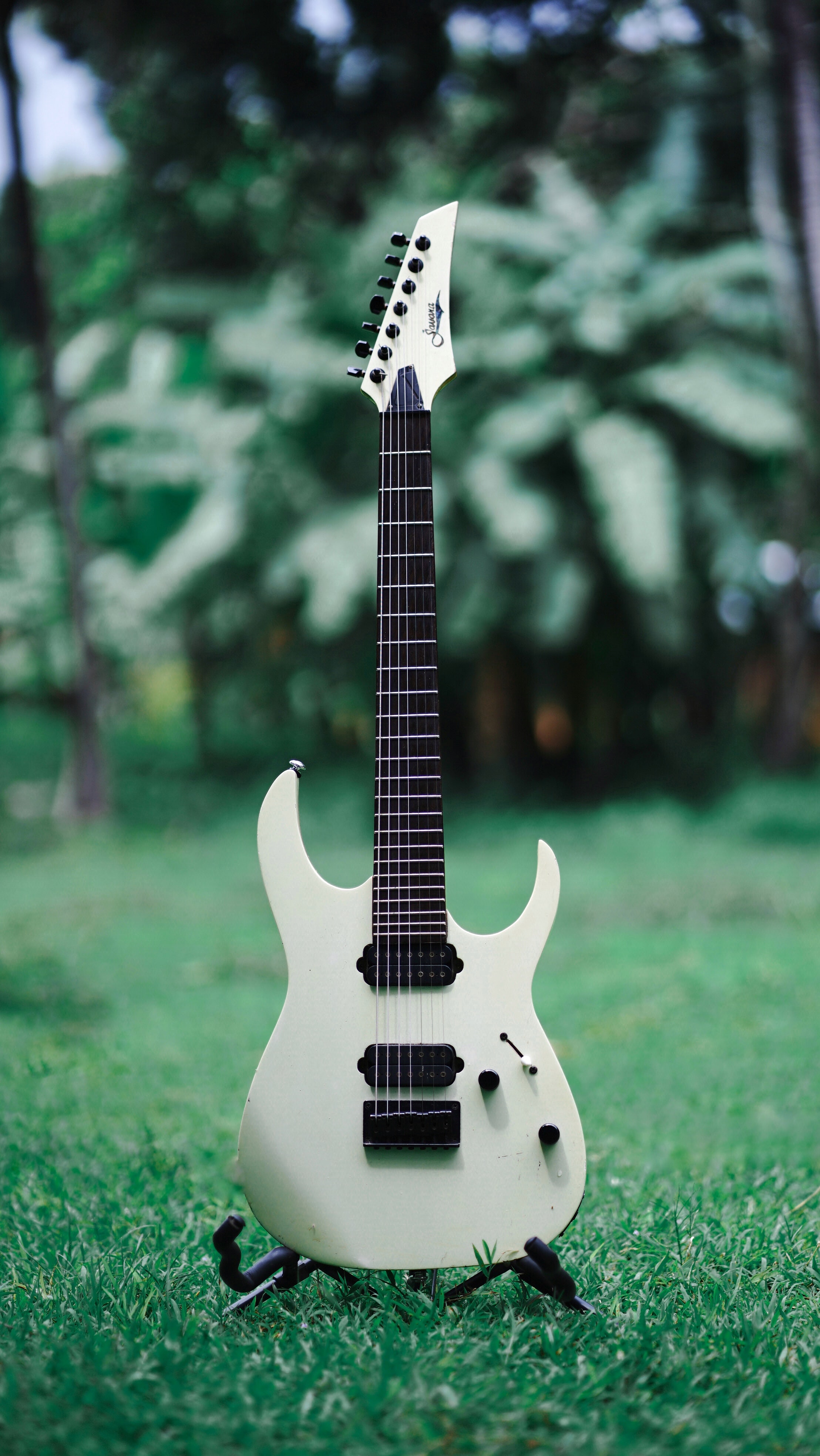 Electric Guitar, Music, Grass, 153822