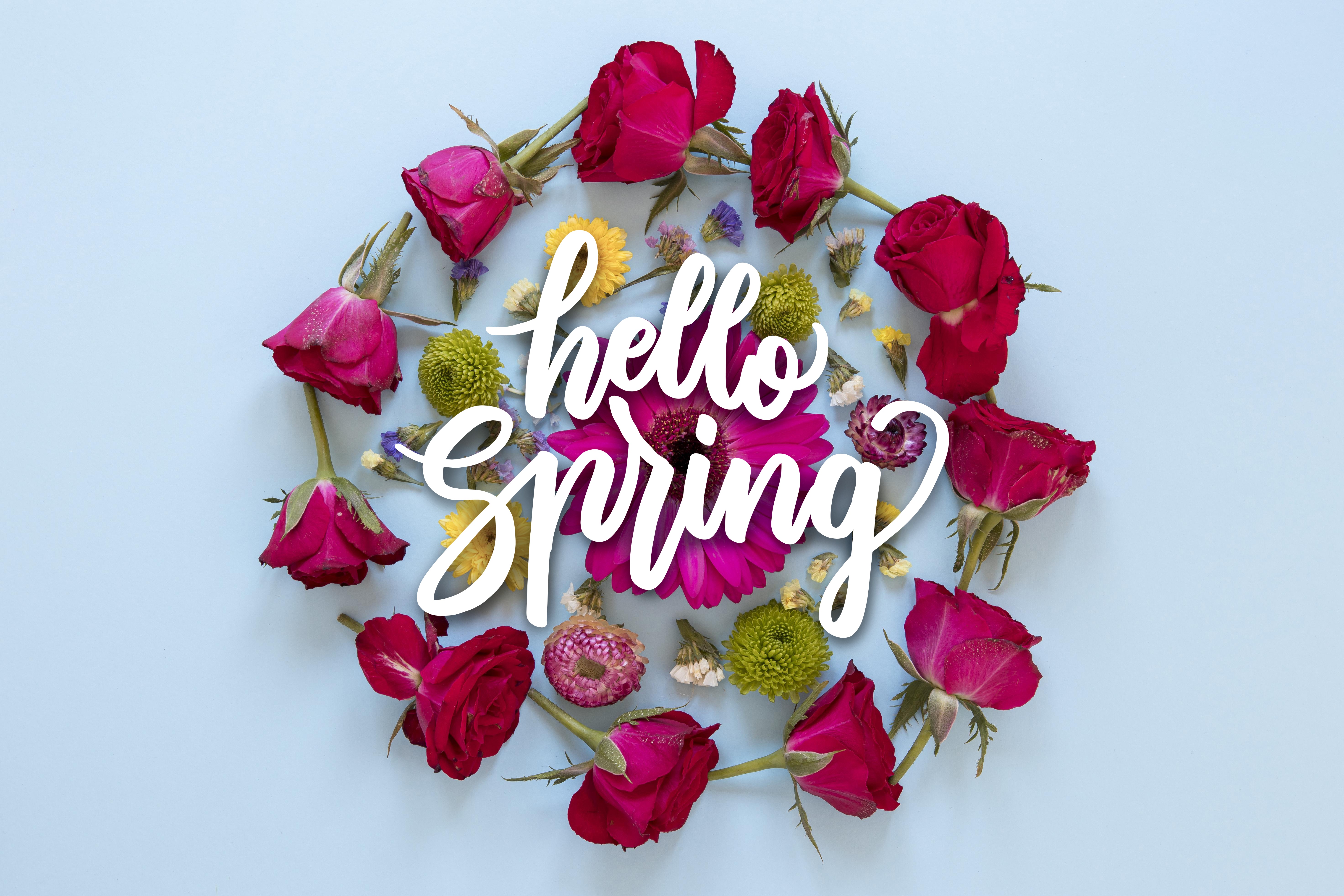 Wallpaper flowers, roses, spring