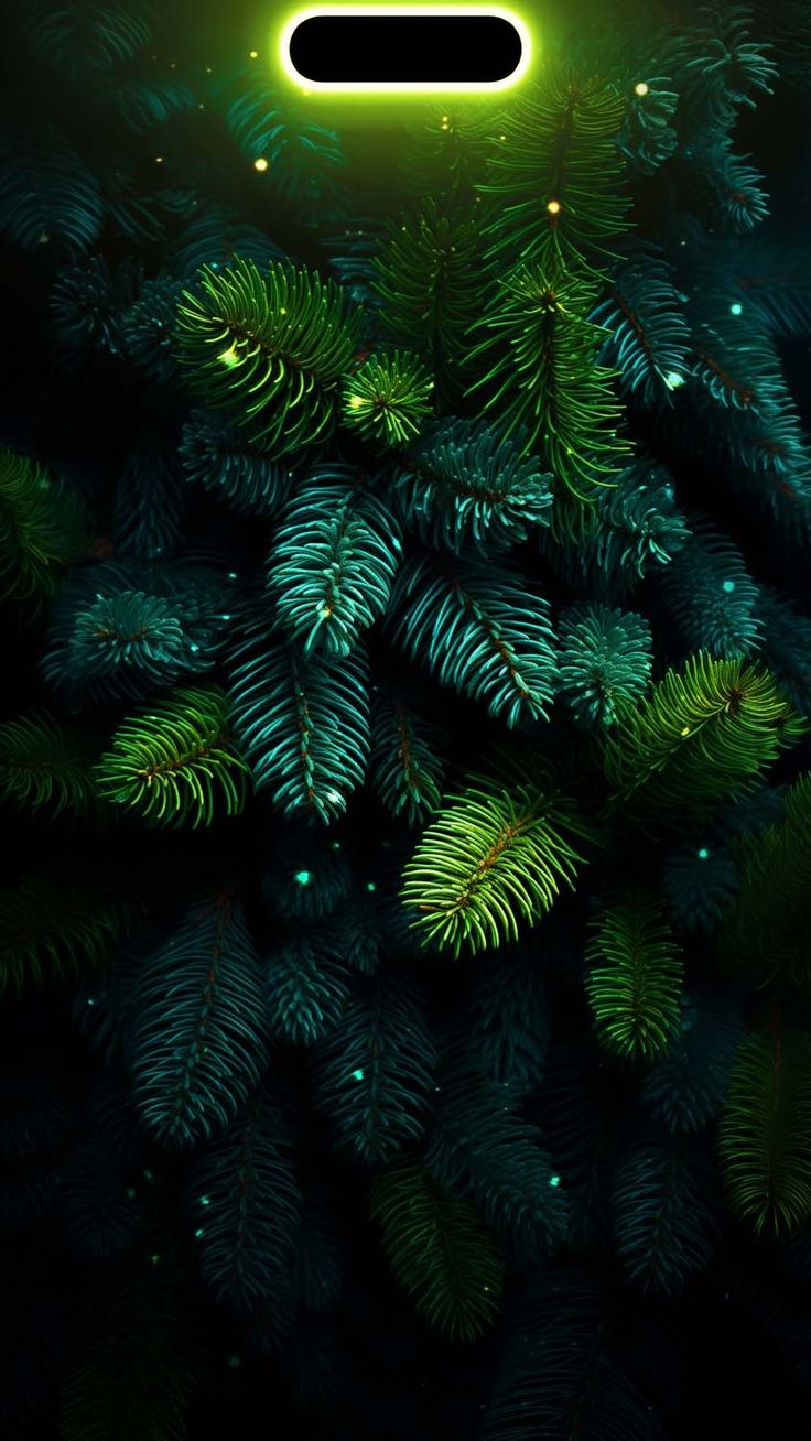 Christmas Tree Dynamic Island Wallpaper