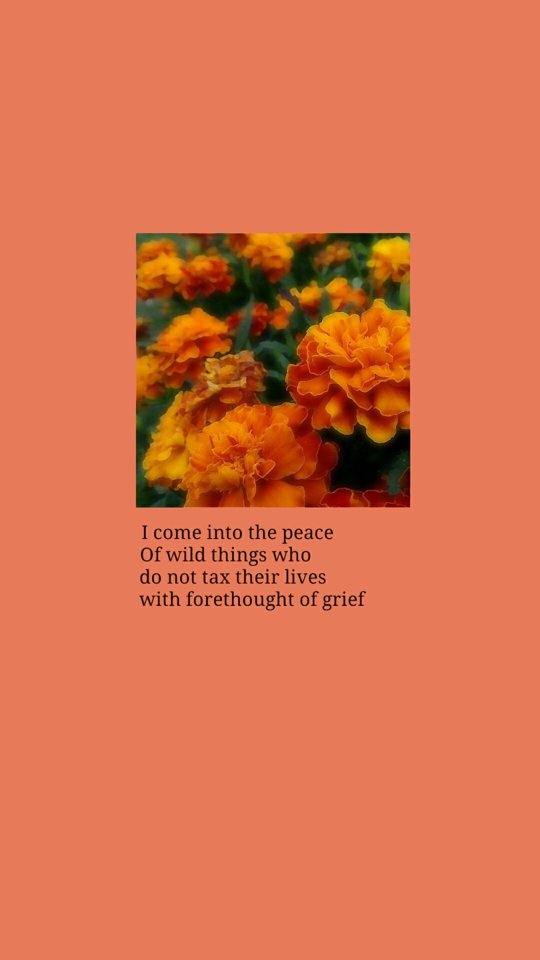 Aesthetic wallpaper, iPhone wallpaper