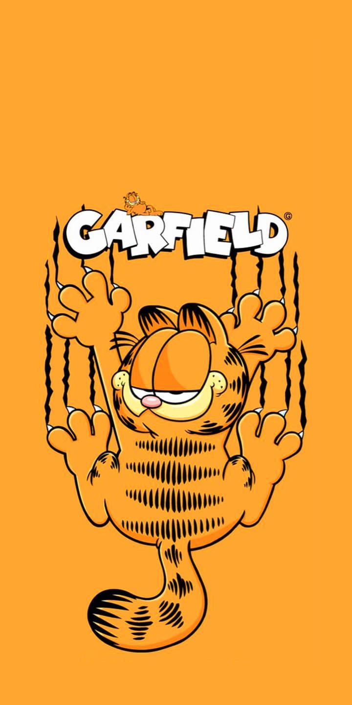 Garfield wallpaper, Garfield cartoon