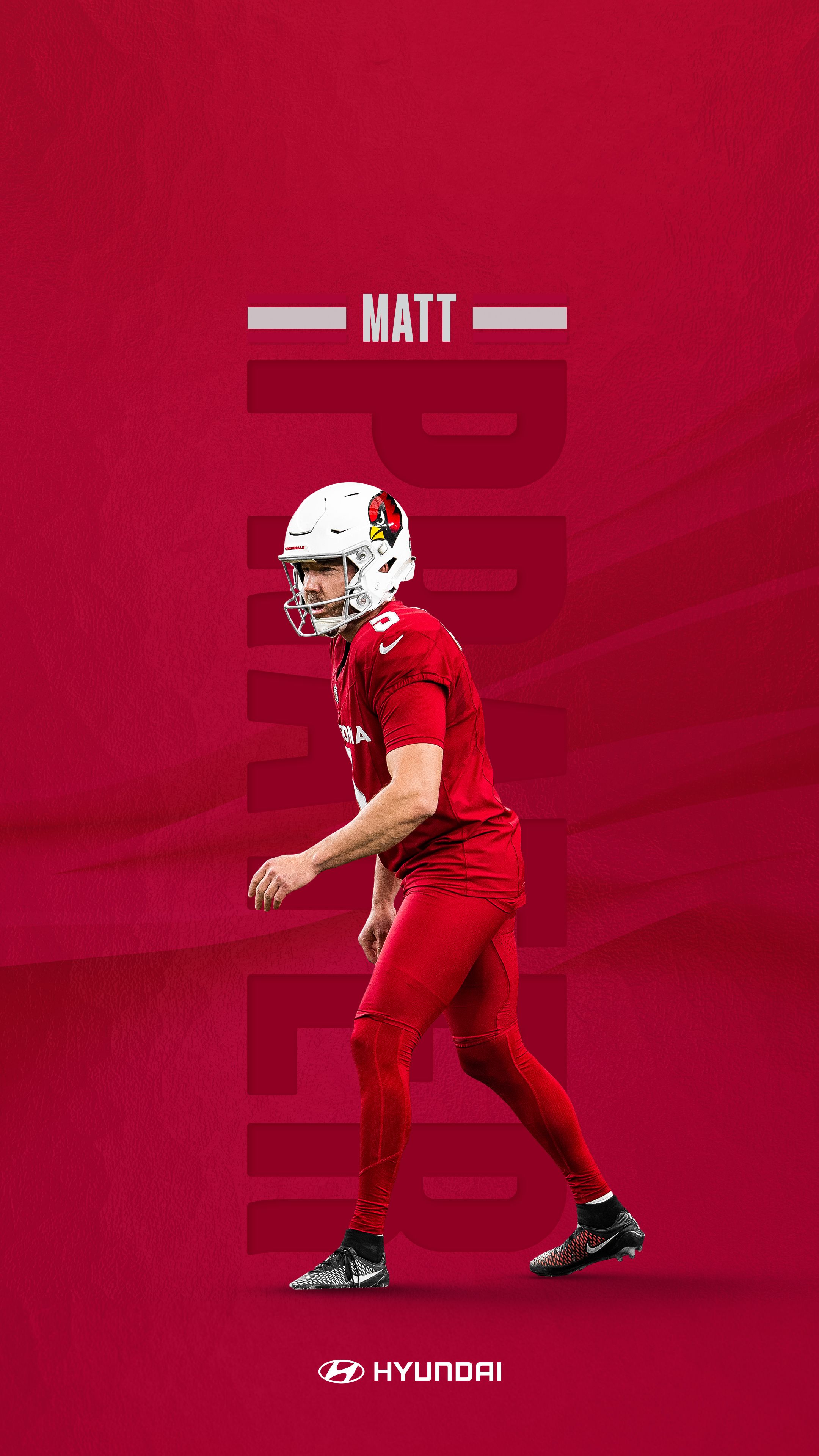 Arizona Cardinals Photo