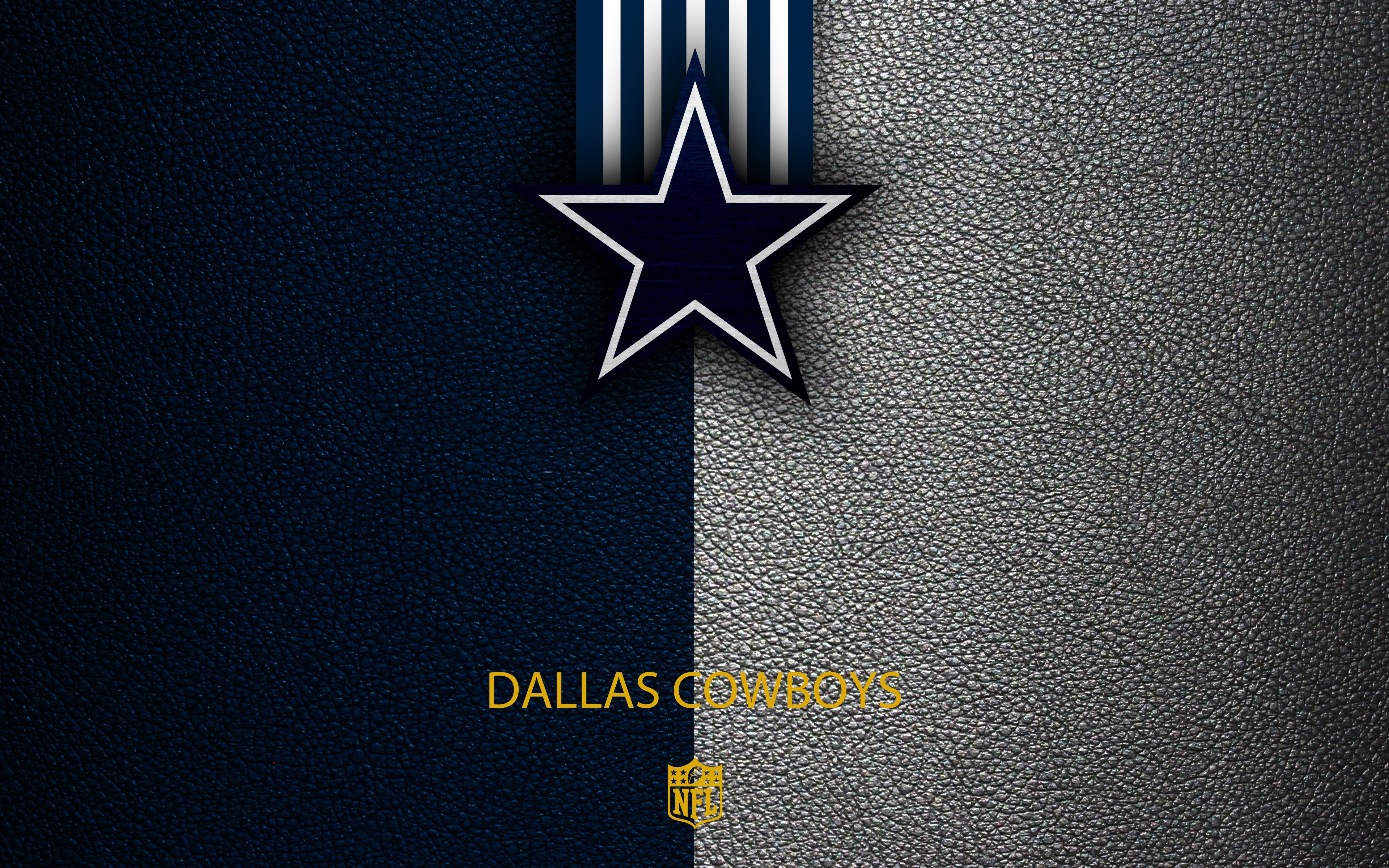 Wallpaper wallpaper, sport, logo, NFL