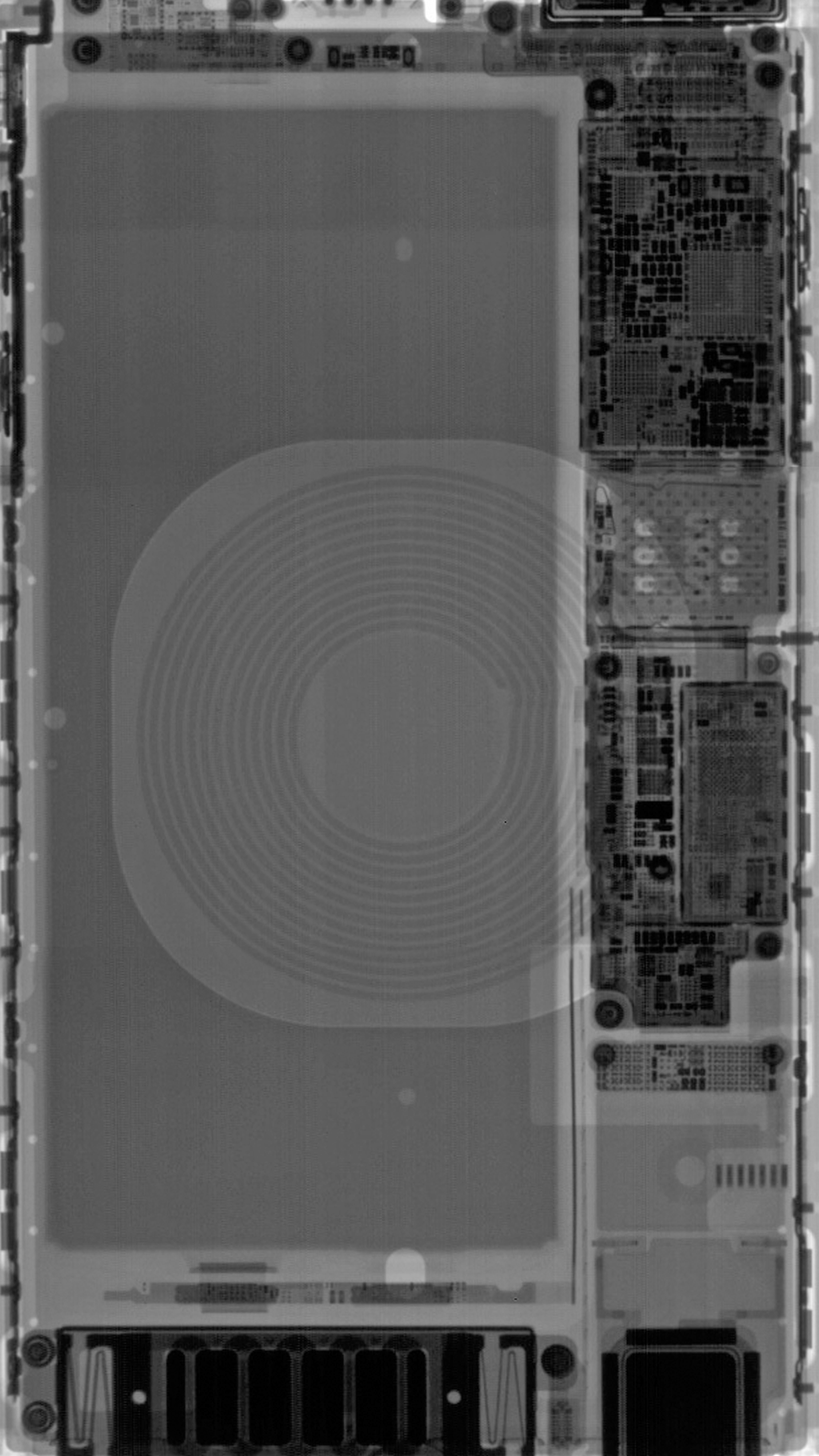 Your iPhone 8 Teardown Wallpaper