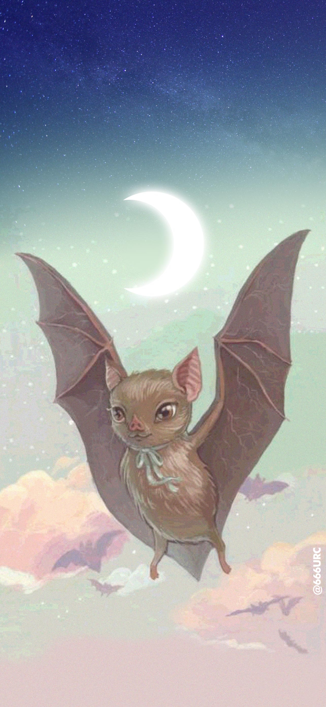 mobile phone wallpaper and lock screen