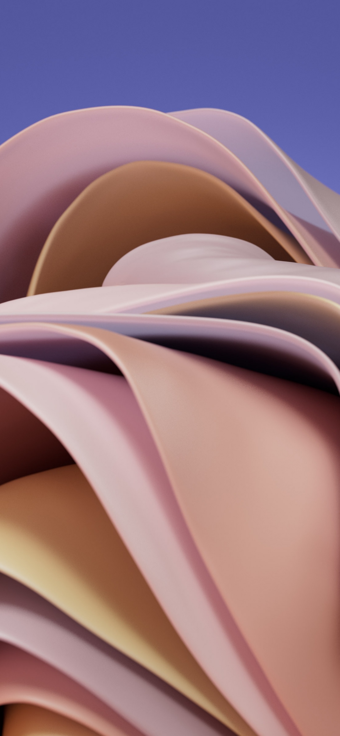 Wallpaper 4K, Pantone Pink, Blue background