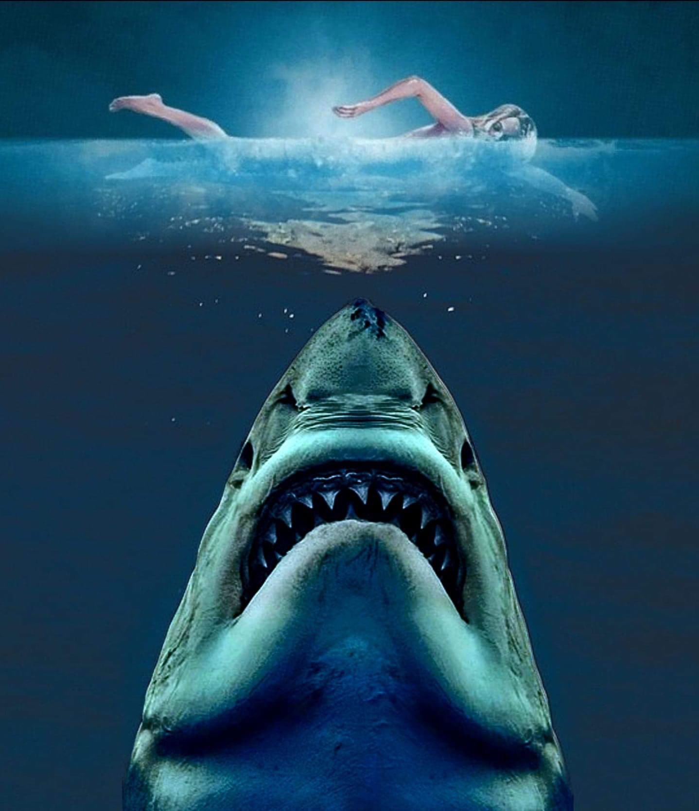 Jaws iPhone Wallpapers - Wallpaper Cave