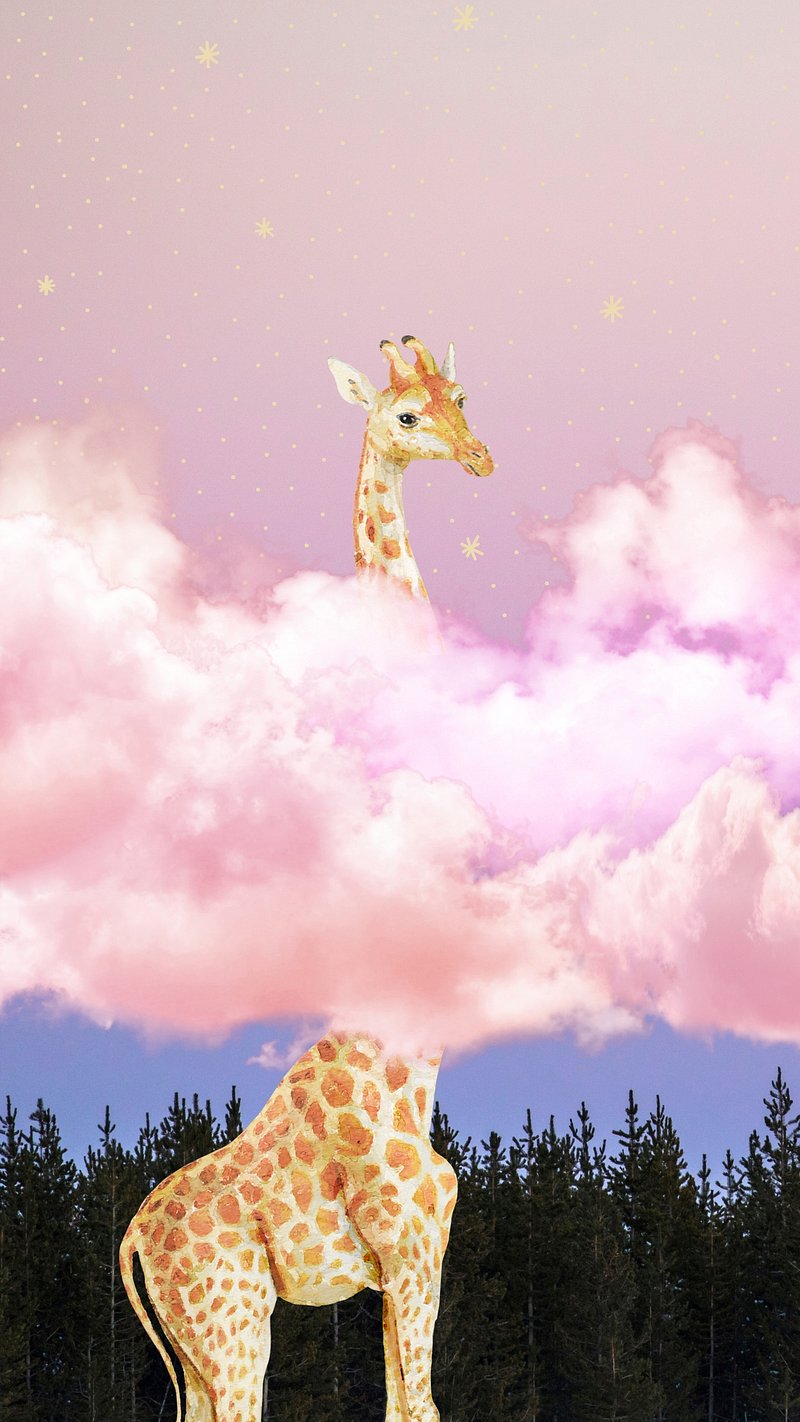 Wallpaper Giraffe Image. Free Photo