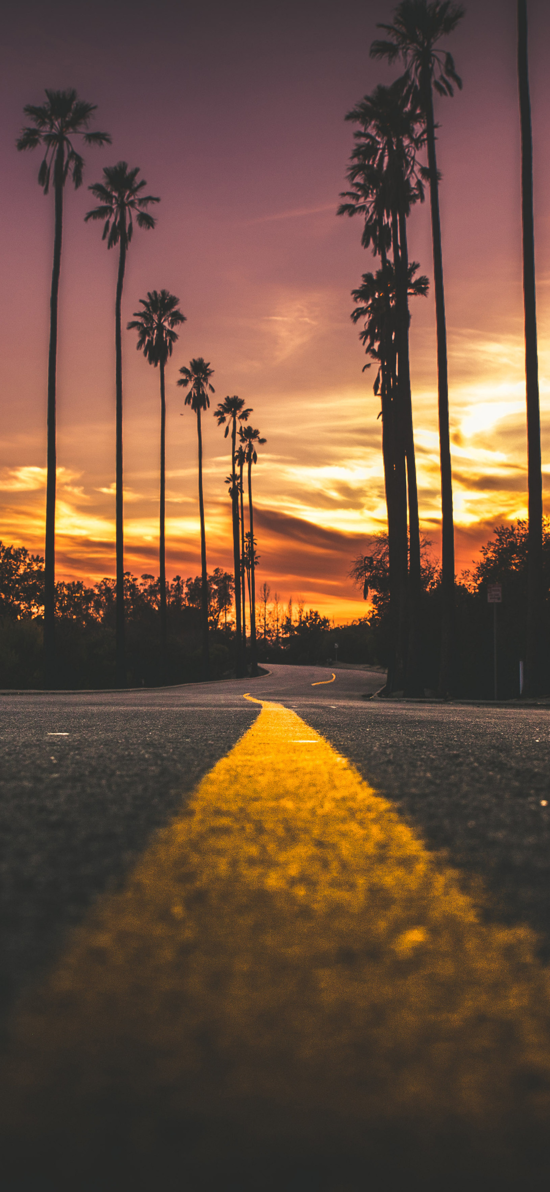 Road In City During Sunset