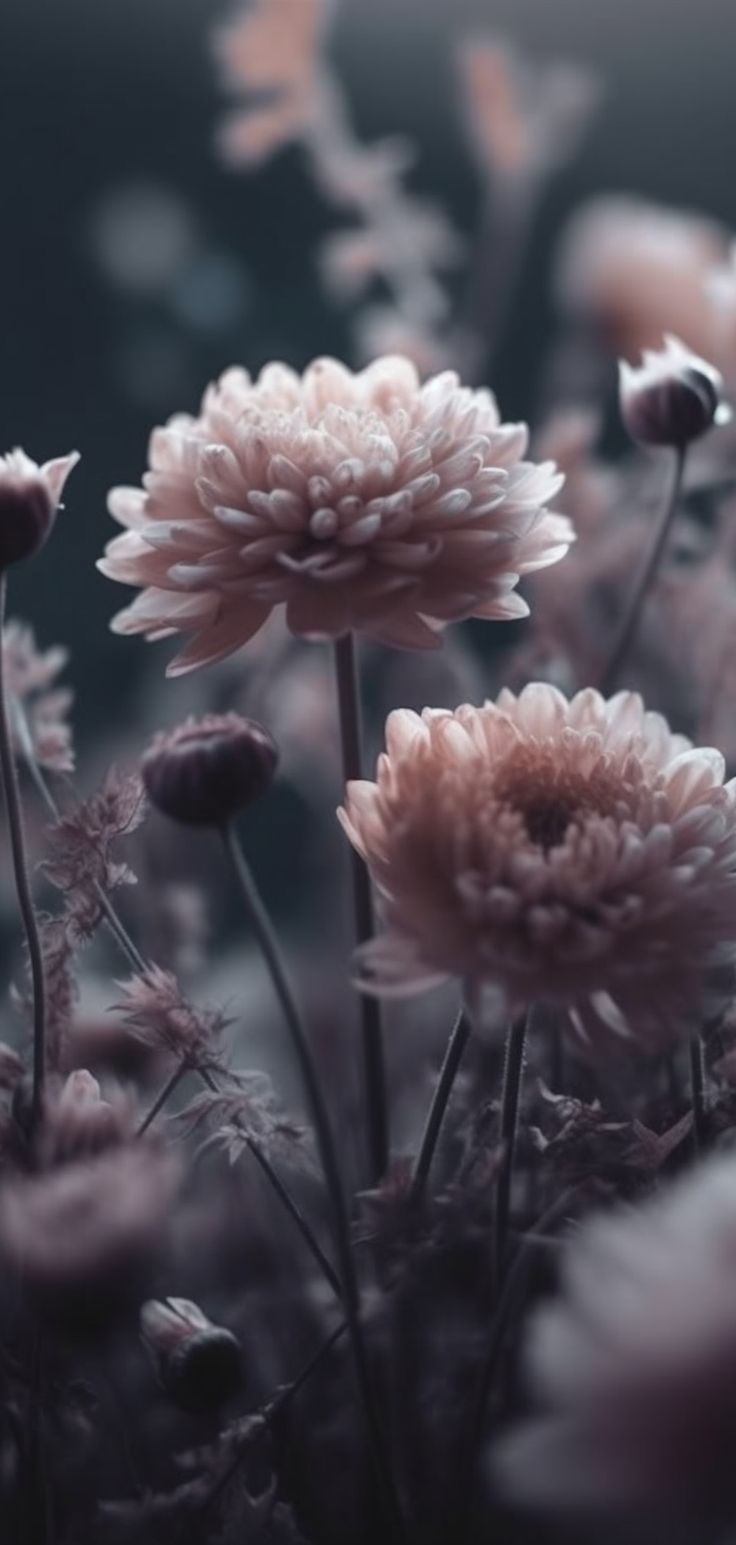 Vintage flowers wallpaper