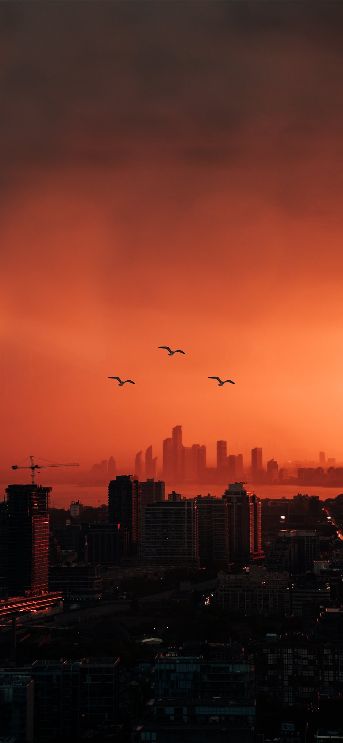 city buildings photo during sunset