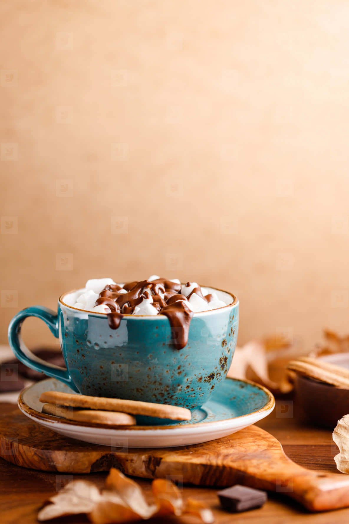 Cozy Hot Chocolate with Whipped Cream