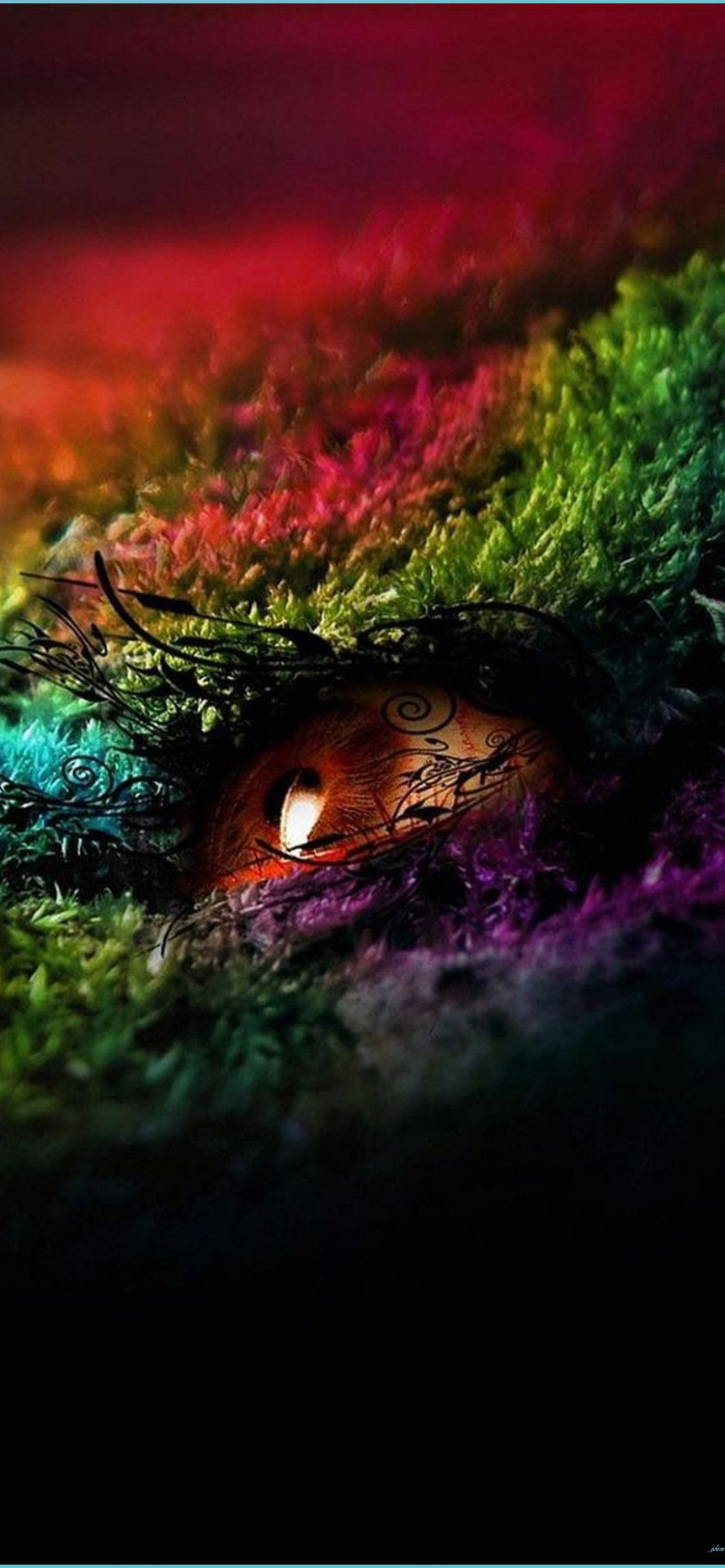 iPhone 12 Pro Max Wallpaper