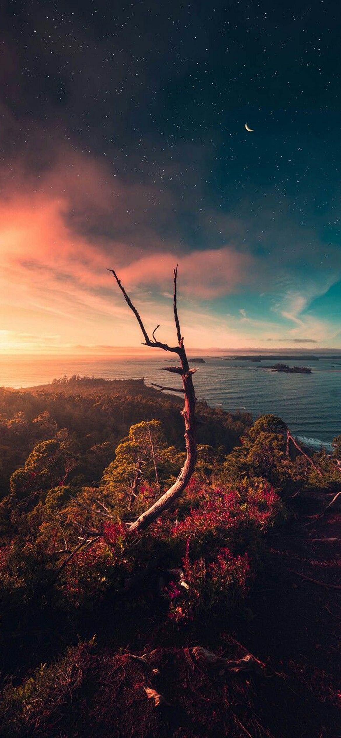 iPhone Nature Wallpaper