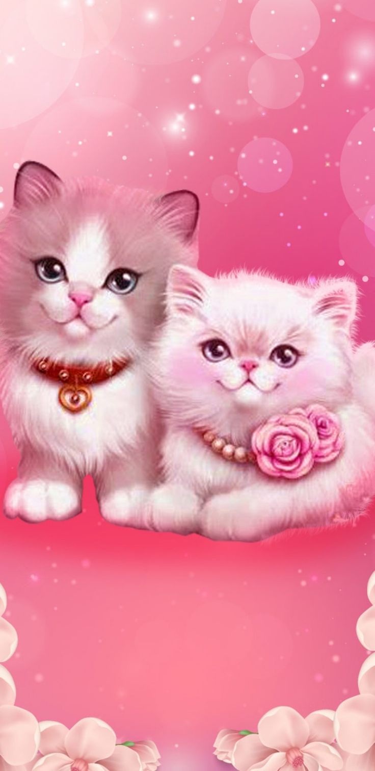Kitten wallpaper, Cat wallpaper, Cute