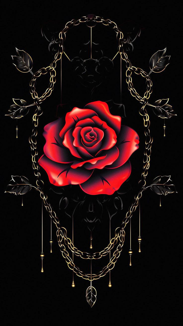 Free background 4k, HD wallpaper rose