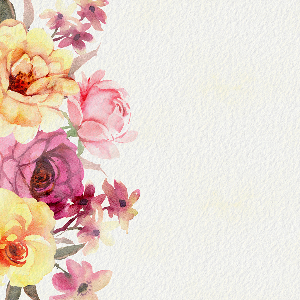 Desktop Wallpaper Paper rose Flowers