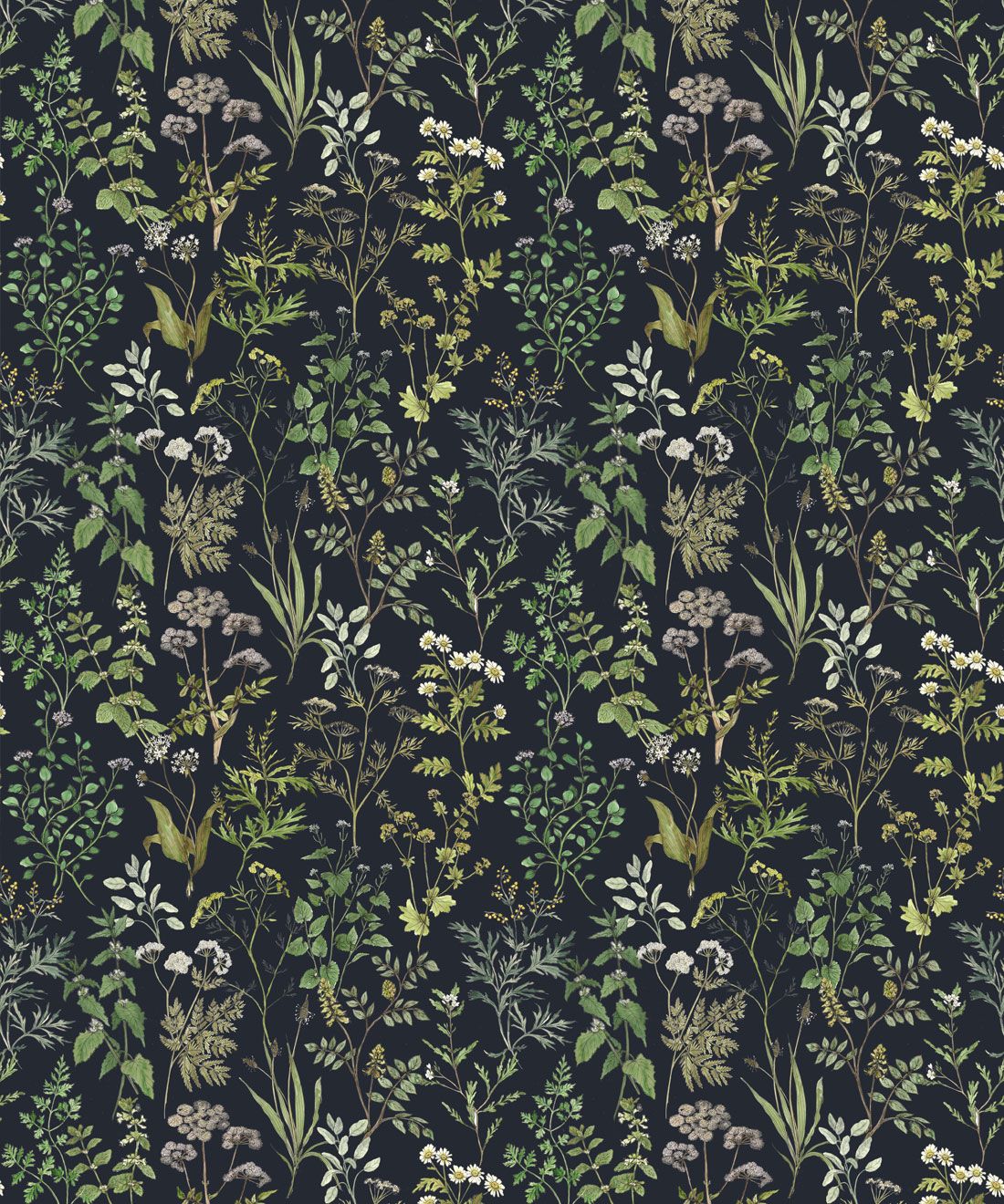 Herbarium Herbs Wallpaper • Botanical