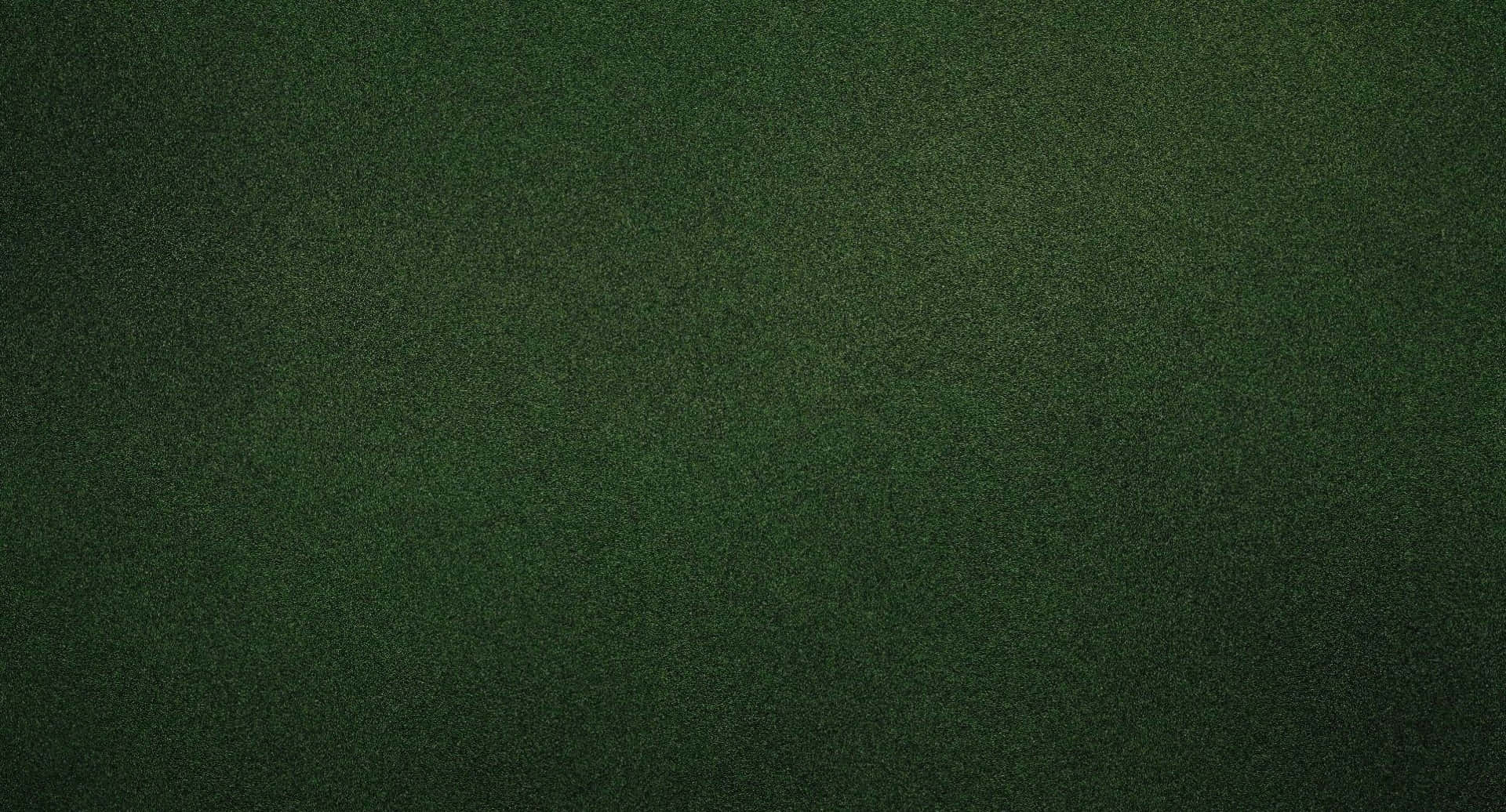 Plain Dark Green Wallpaper