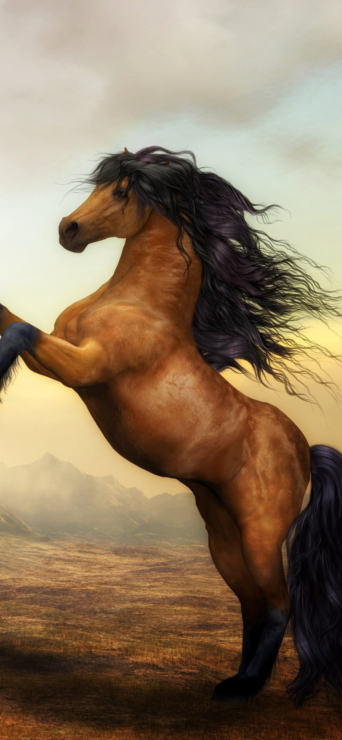 Arabian Horse Artistic 4k