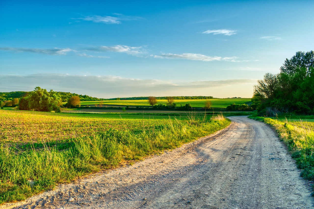 Agriculture Dirt Road Sunset