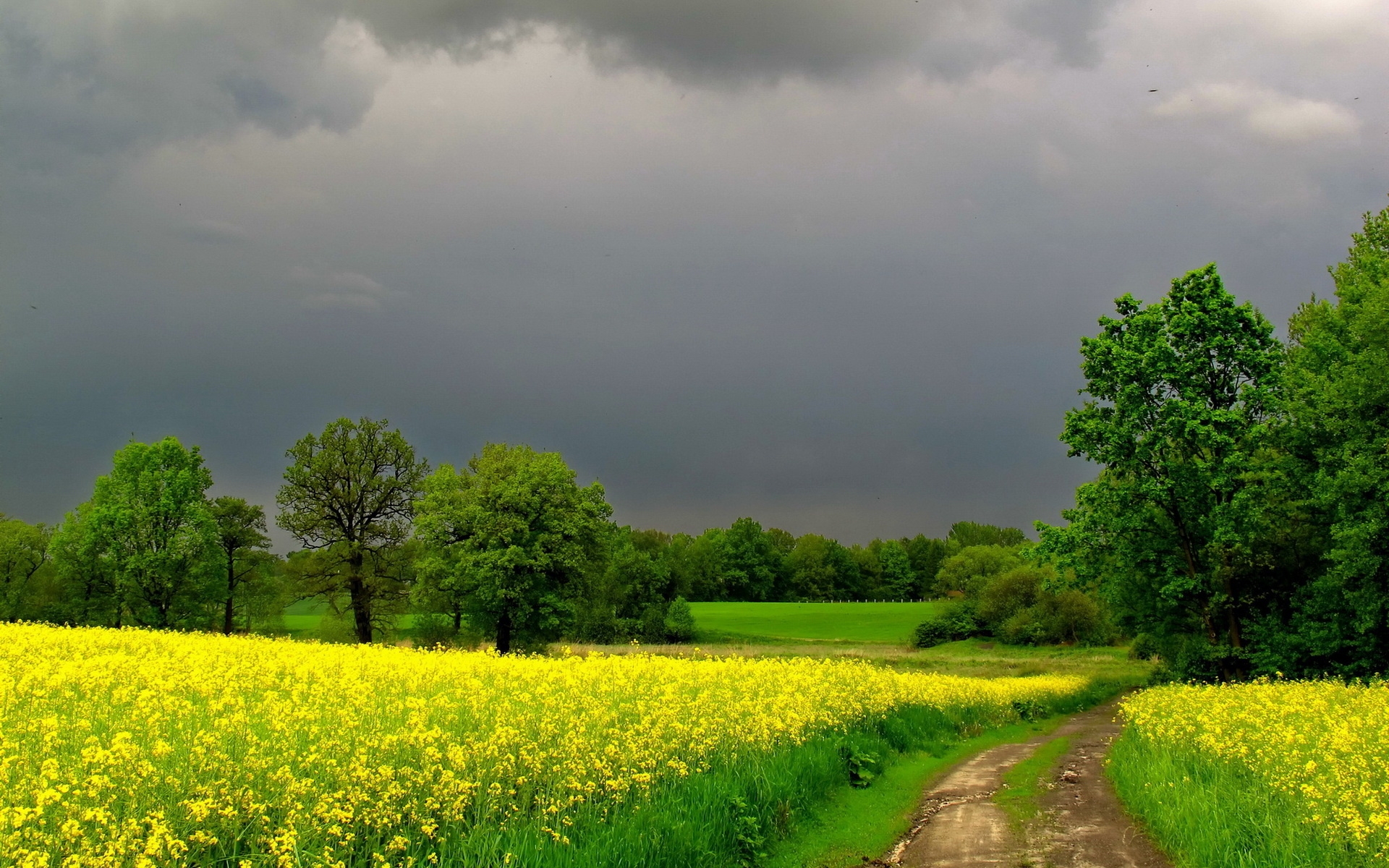 Clouds over Country Road