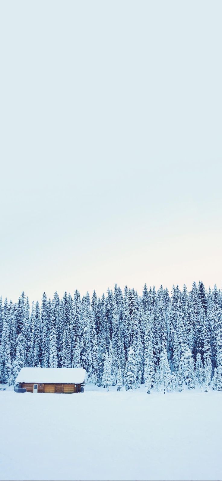 Abstract Wallpaper for iPhone 11 Pro Max