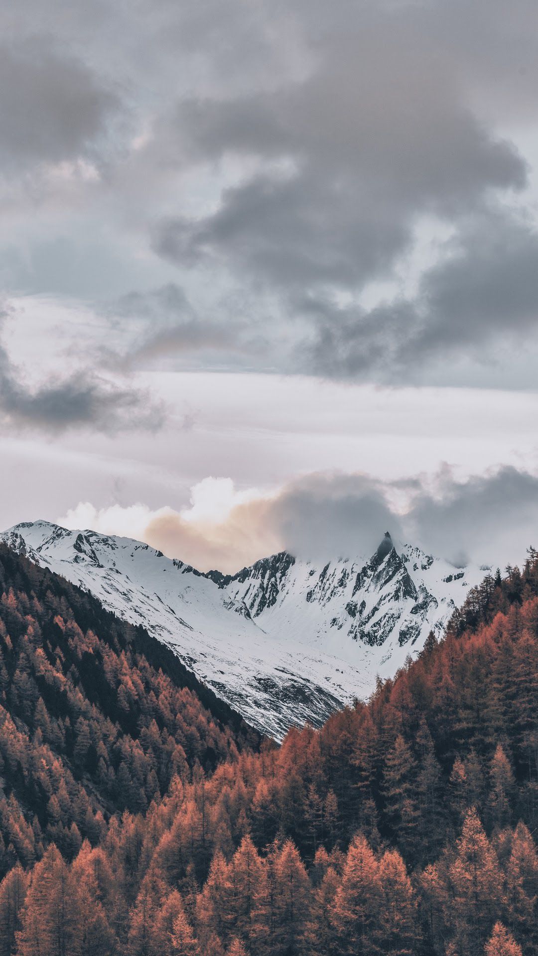 Whatsapp Background Wallpaper. Pretty