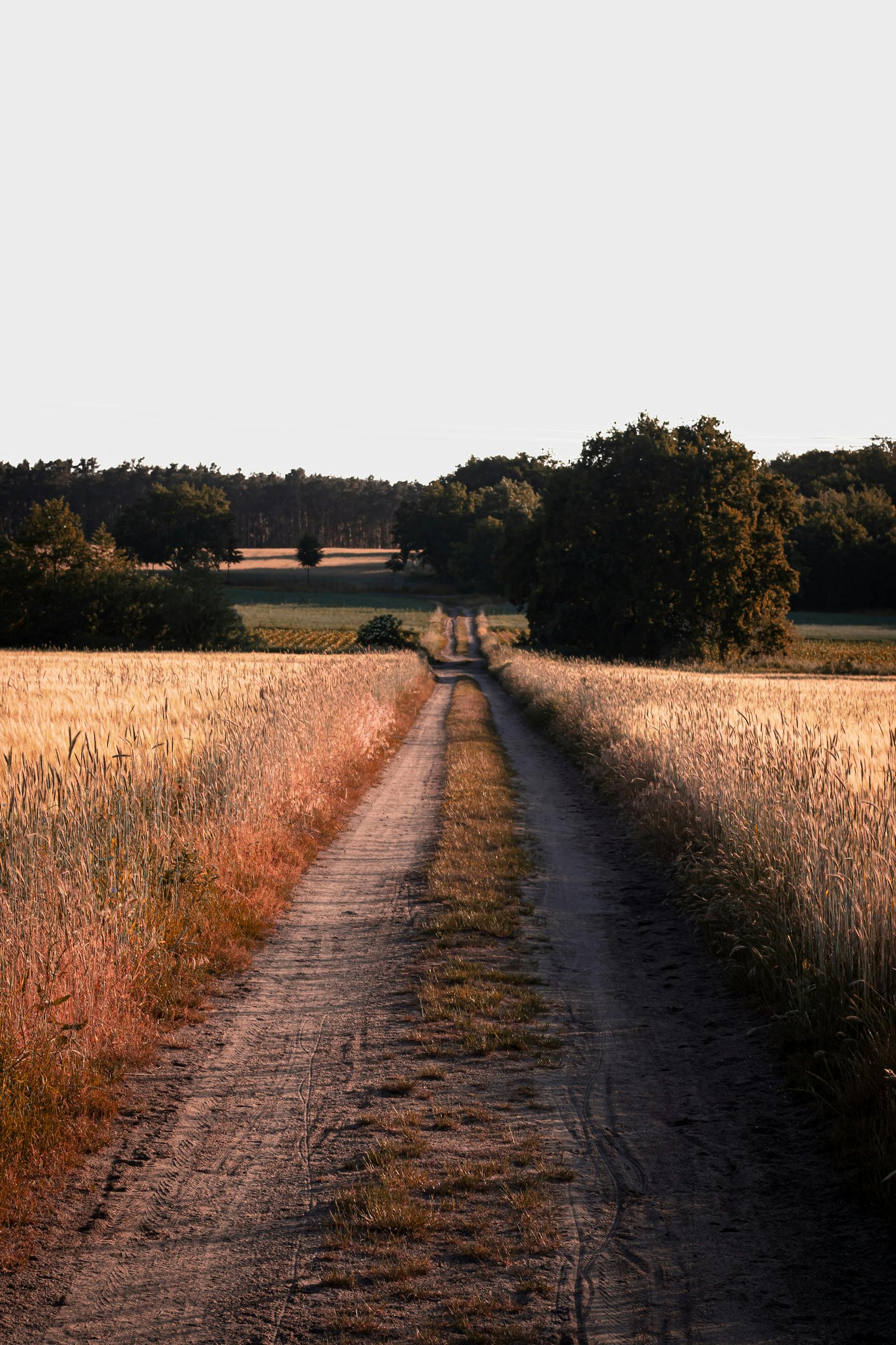 Early Spring Landscape with a Gravel