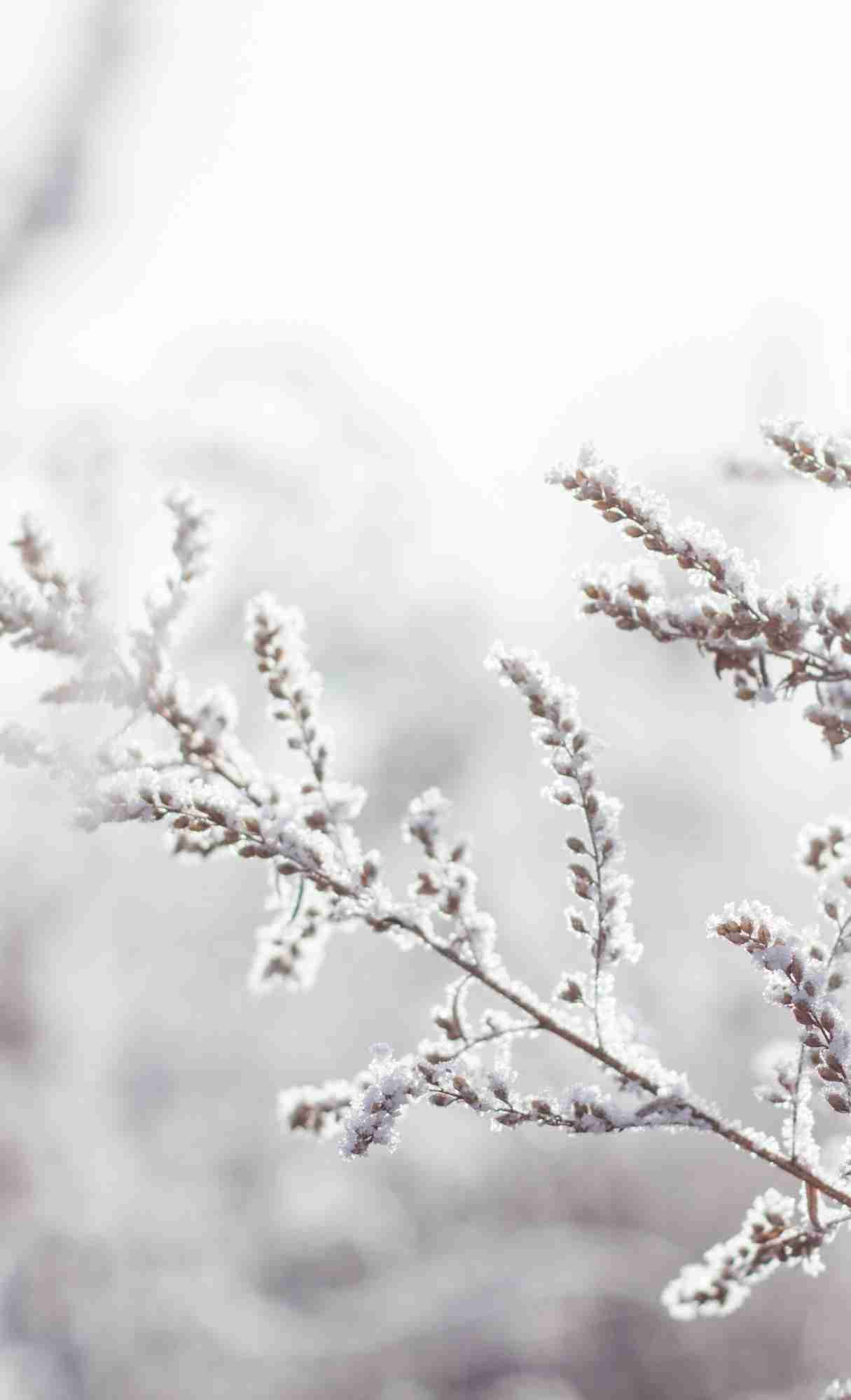 Winter iPhone Wallpaper Ideas