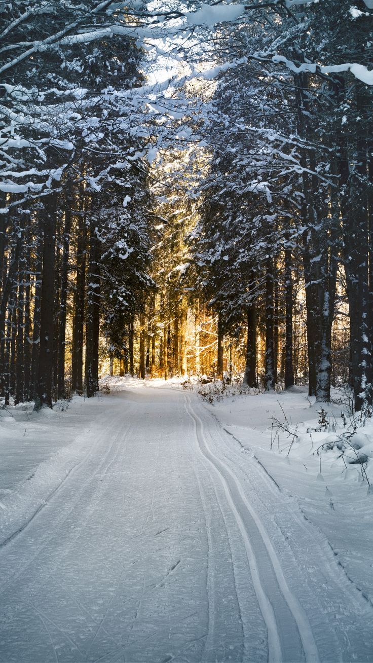 Cute Aesthetic Winter Wallpaper