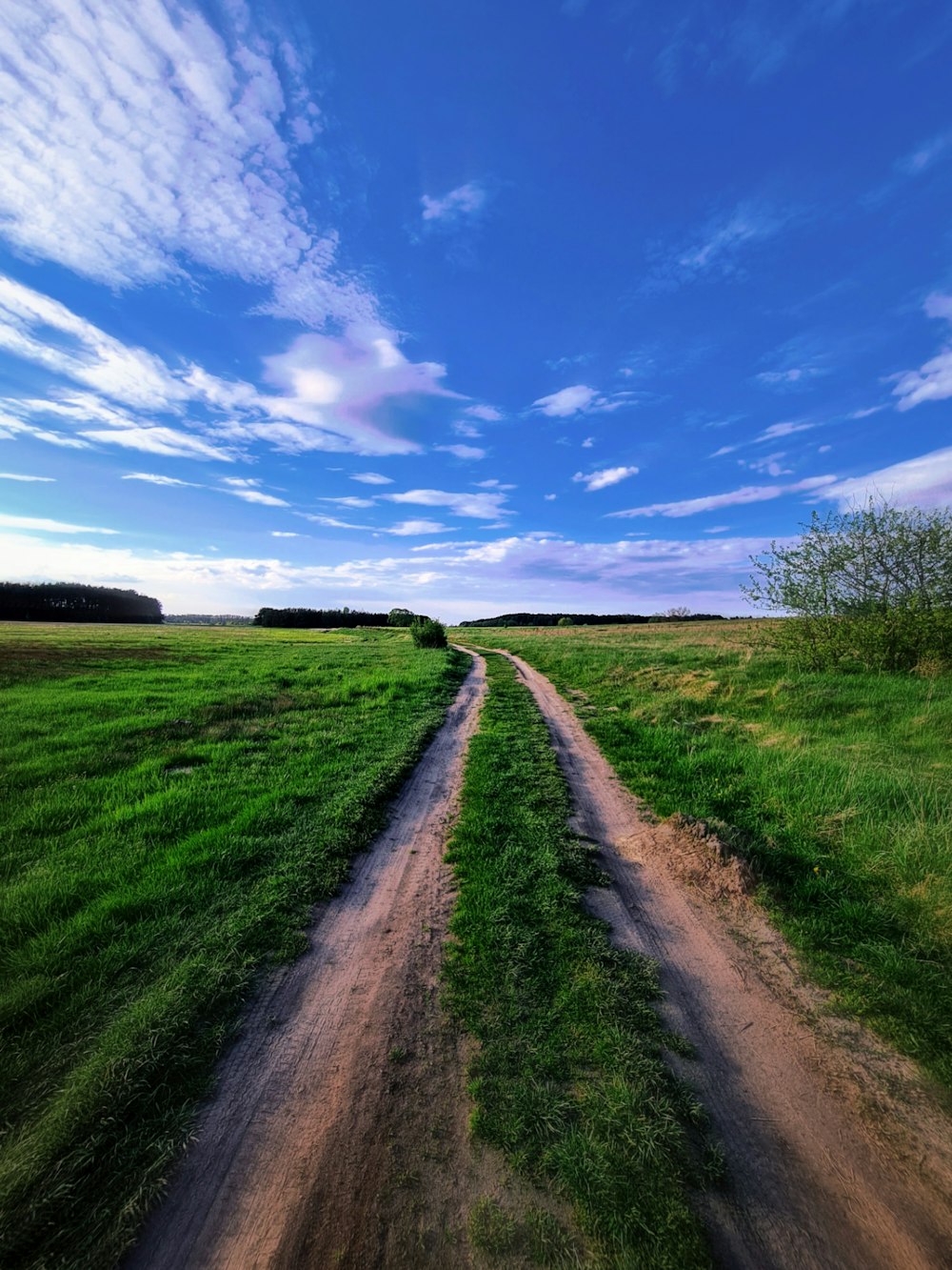 A dirt road in a field photo