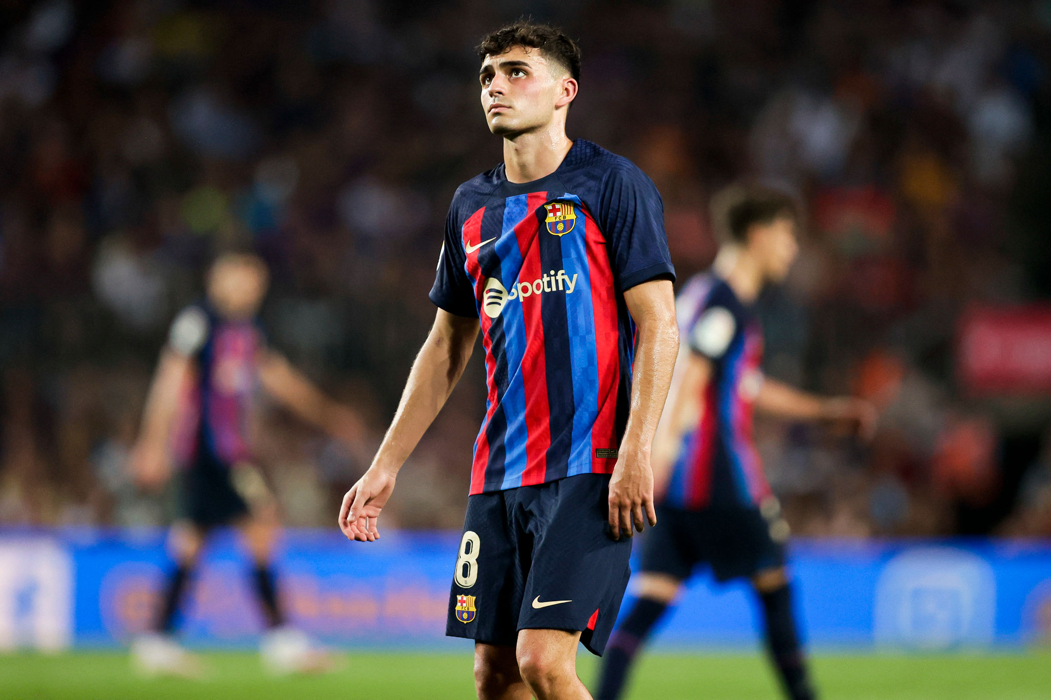 Sports Pedri HD Wallpaper