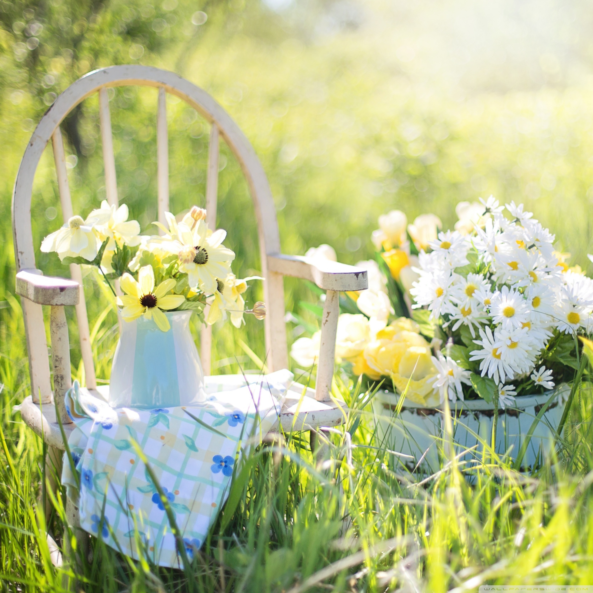 Desktop Background Wallpaper