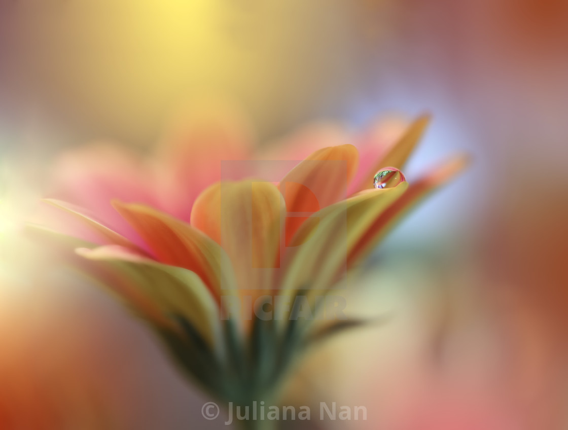 Yellow and Pink Background.Fantasy Art