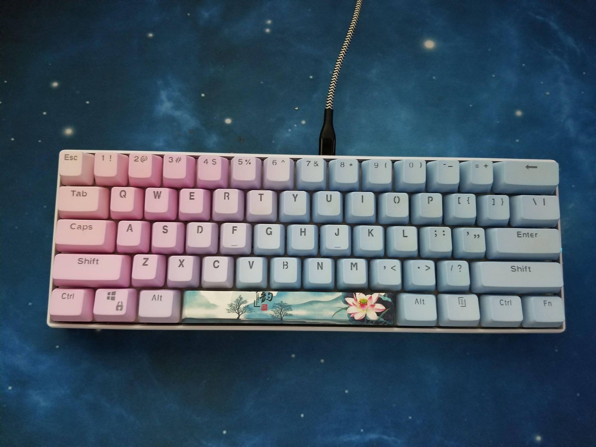 Pink Blue Wired Keyboard Wallpaper