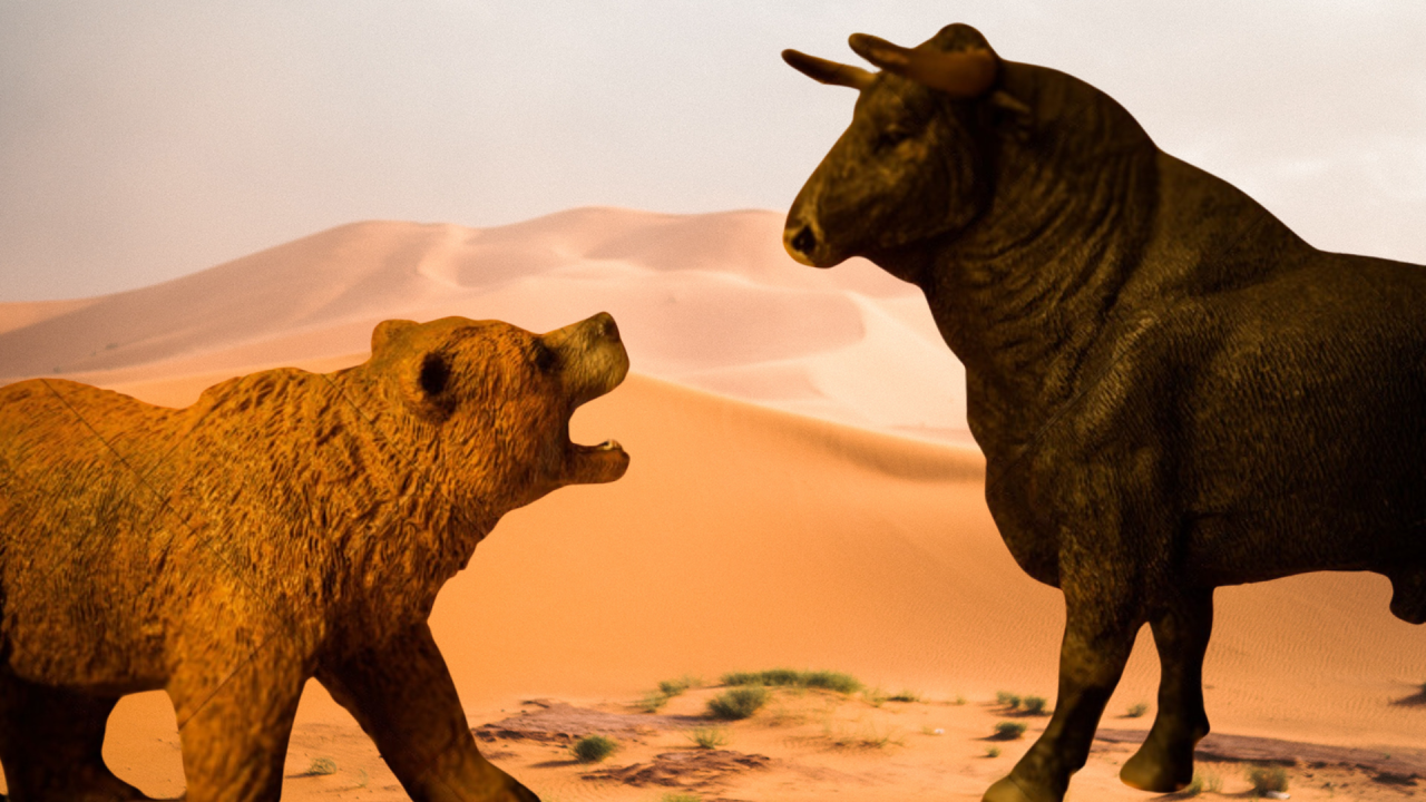 bear' really mean in the stock market