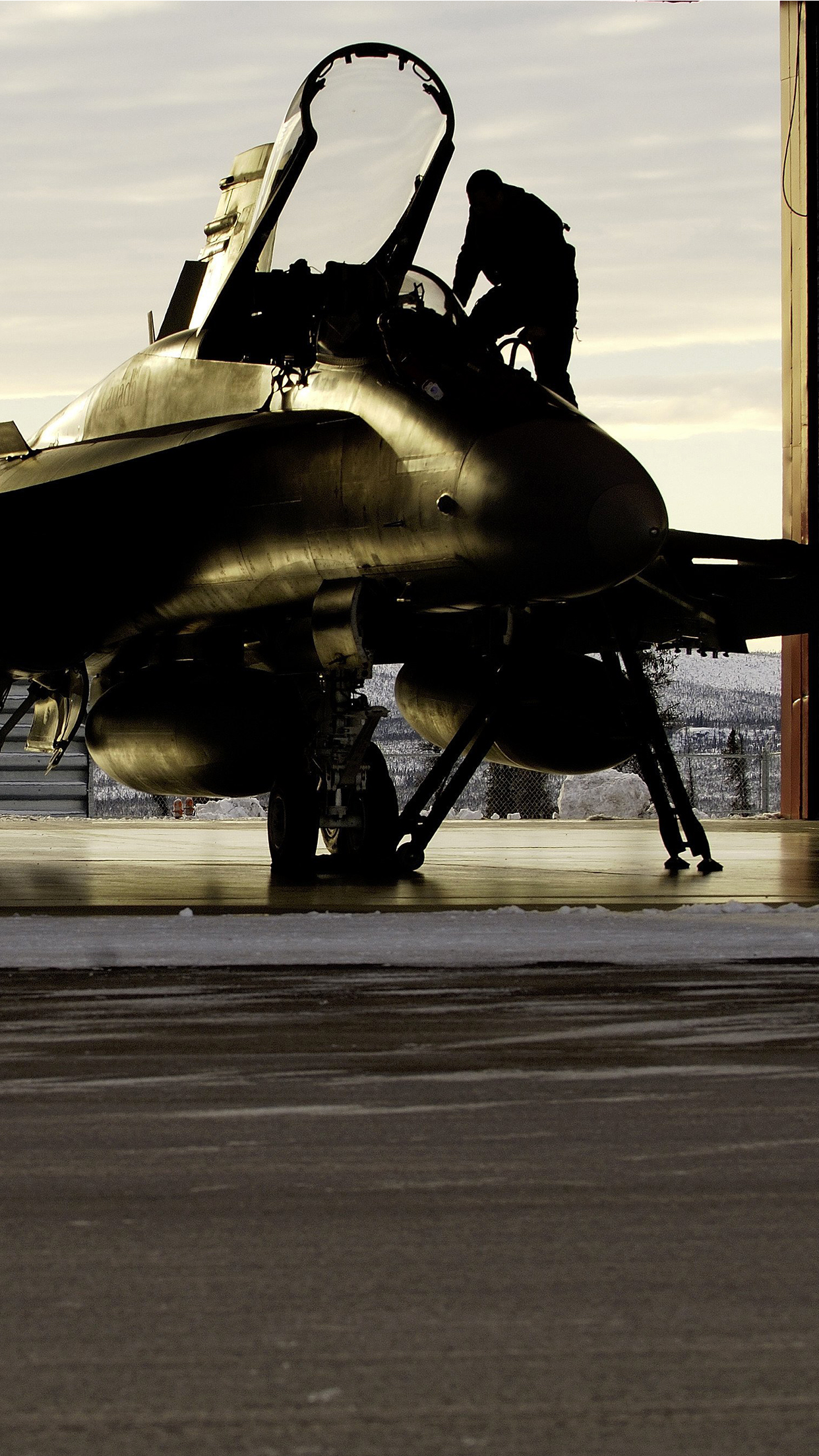 Pilot aircraft Wallpaper for iPhone 11