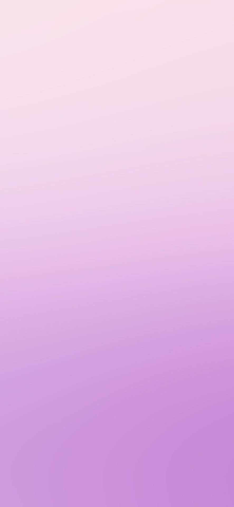 Light Purple iPhone Gradient Wallpaper