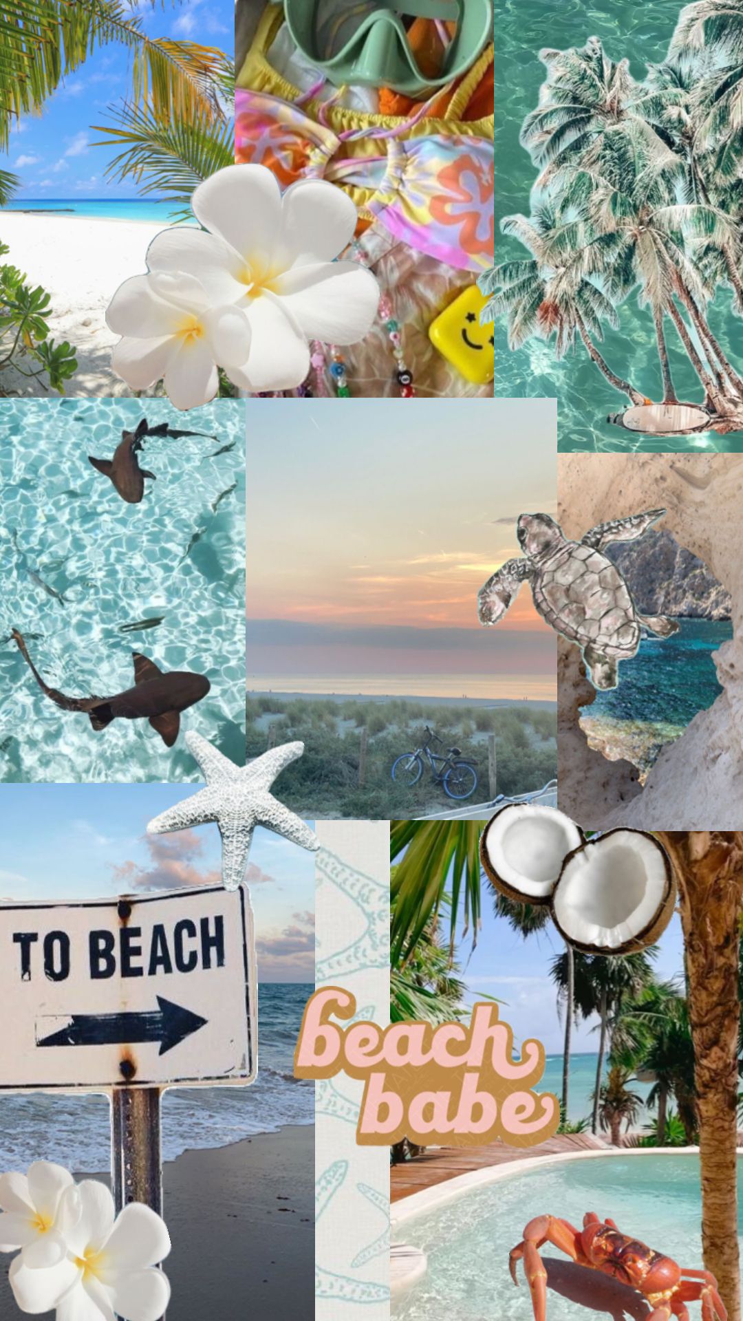 nature #vibes #wallpaper #beach