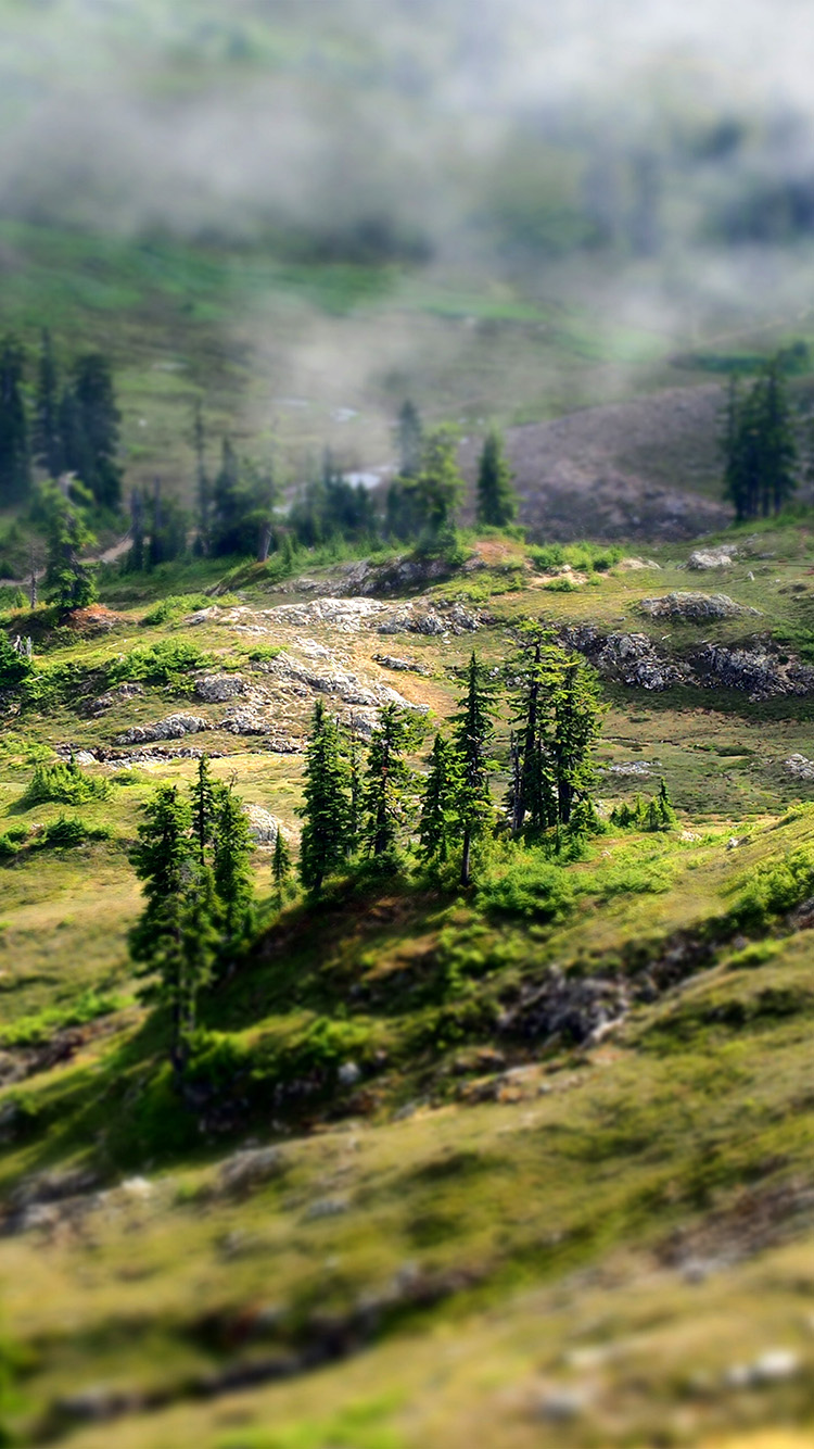Mountain Country Spring Forest Nature